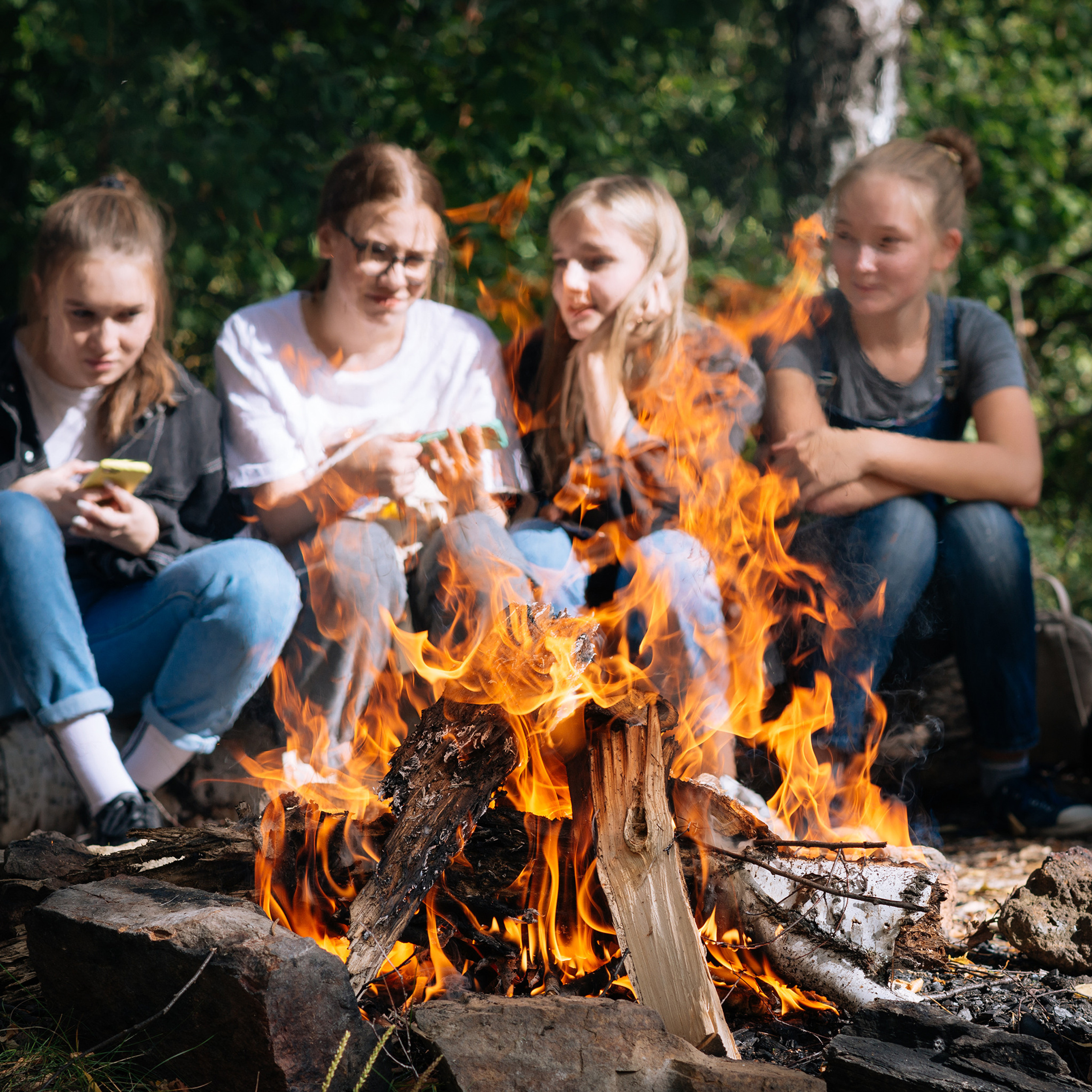 Школьный пикник