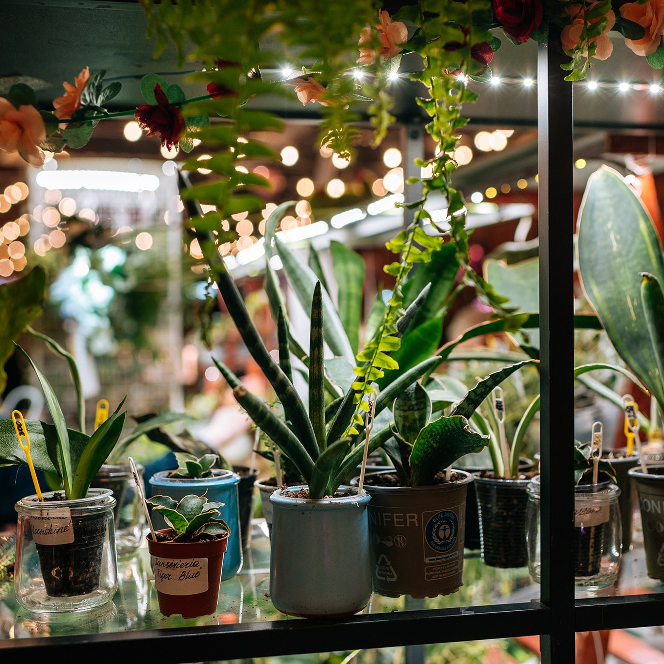 ВАУ Фест. Март&nbsp;26