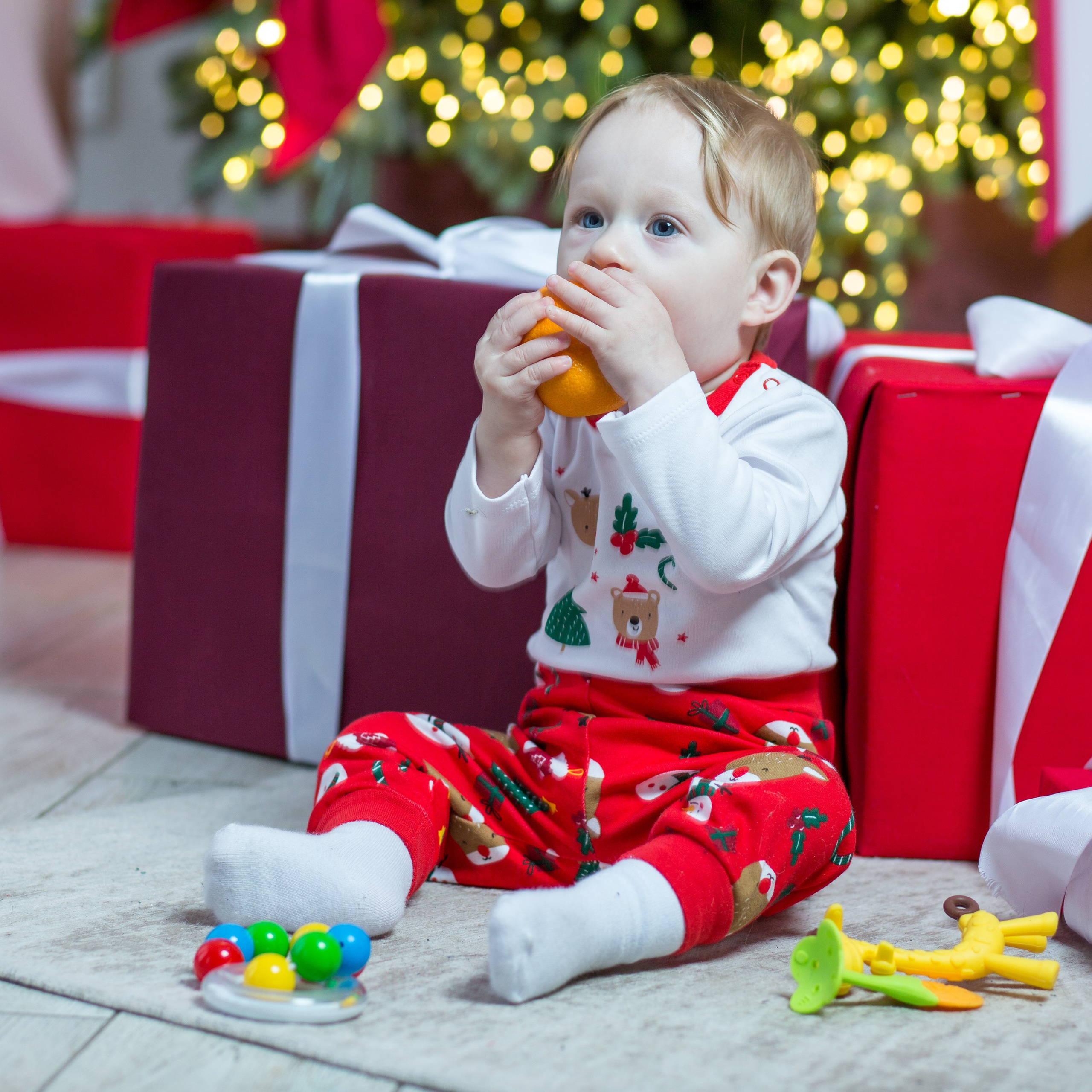 Лев Новый Год