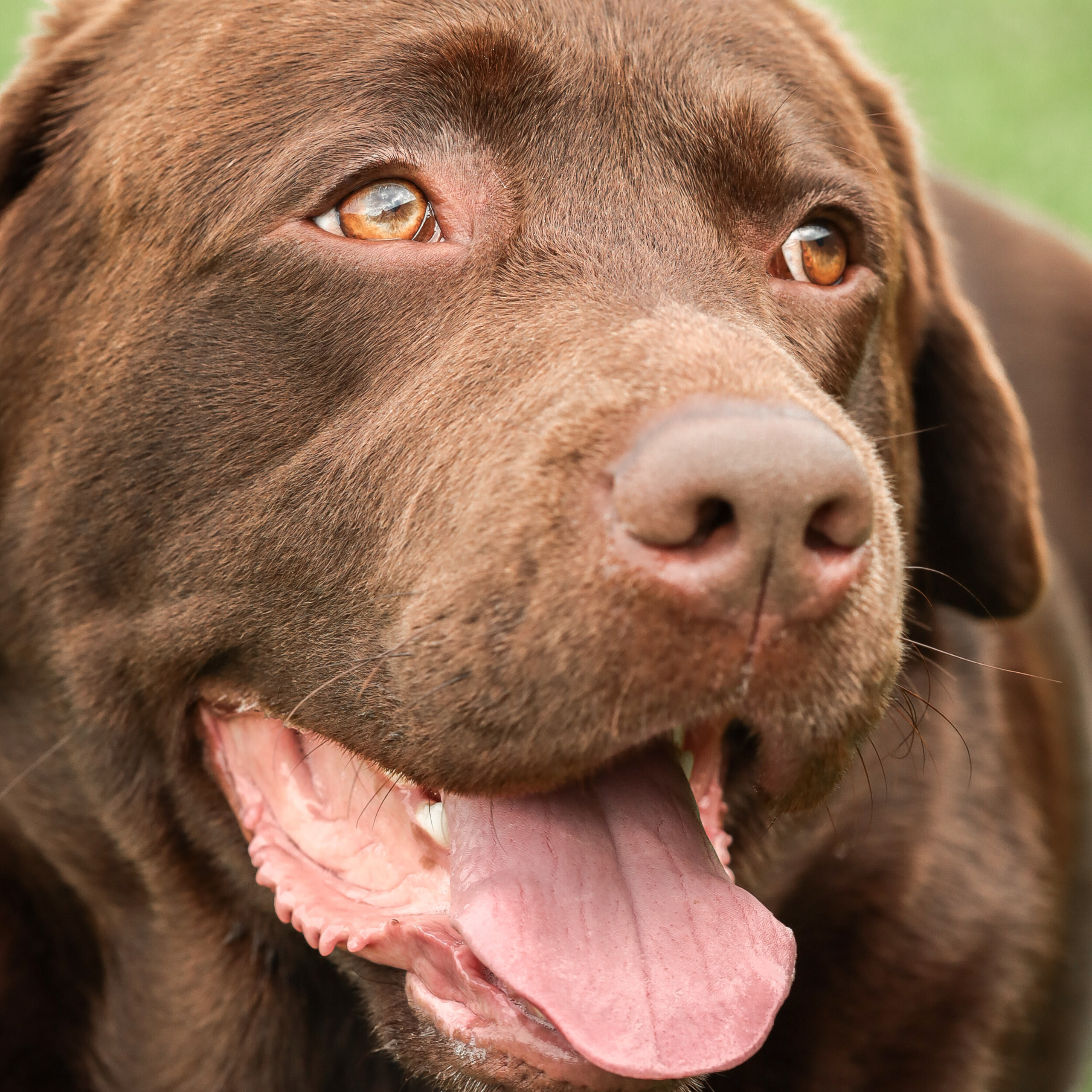 Отзывы. Фотограф в Петрозаводске Вероника Манакова