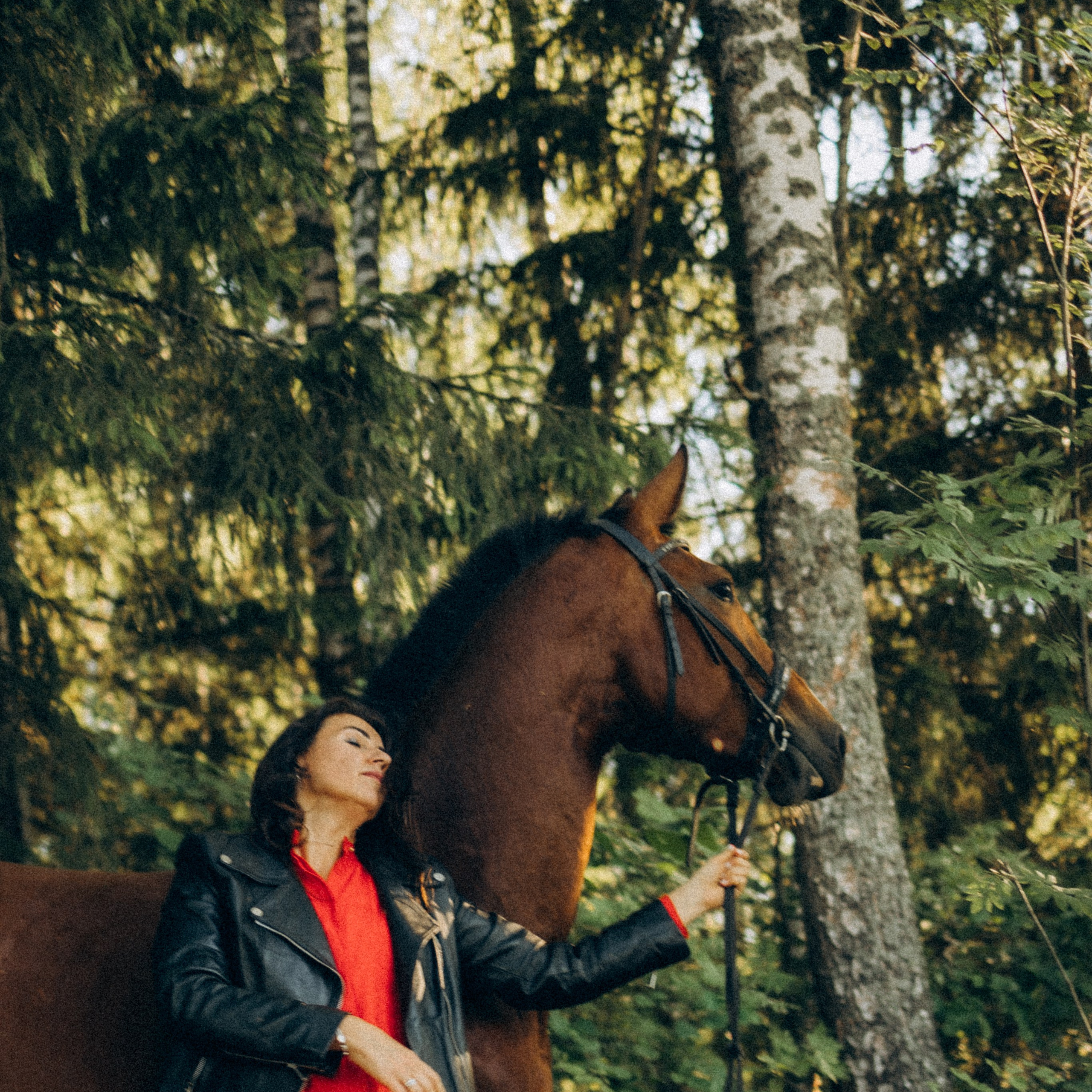 А в деревни лошади
