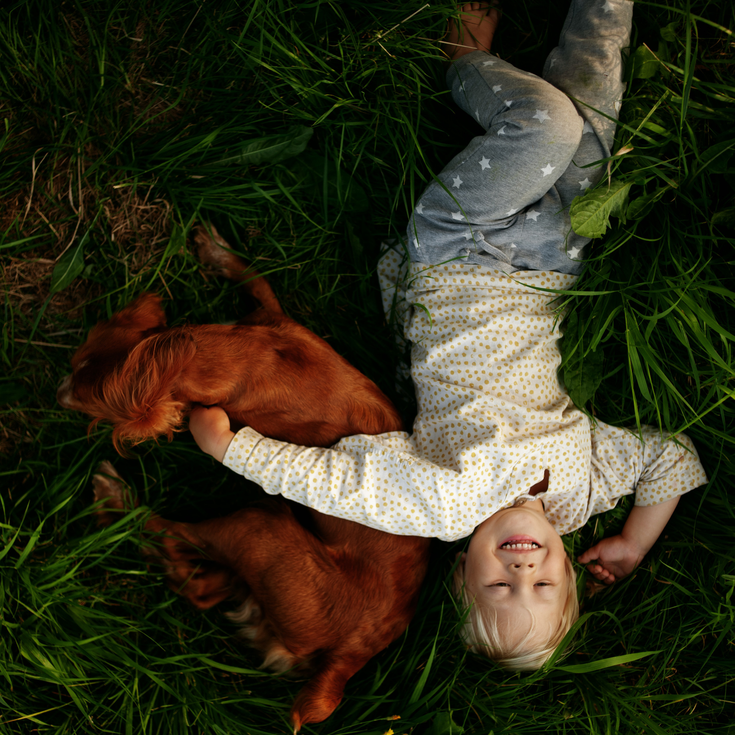 Пикник в городе