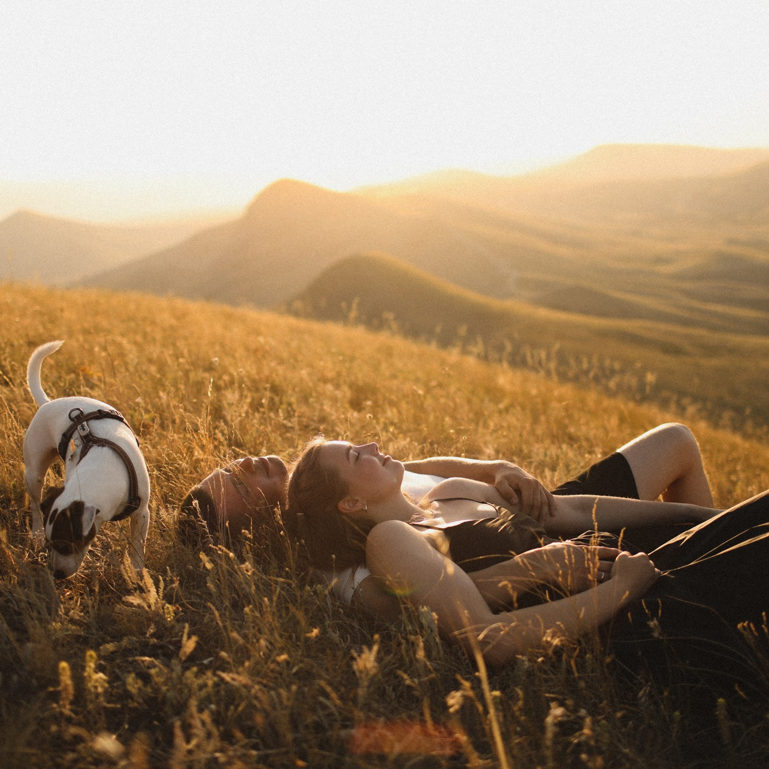 гендер пати