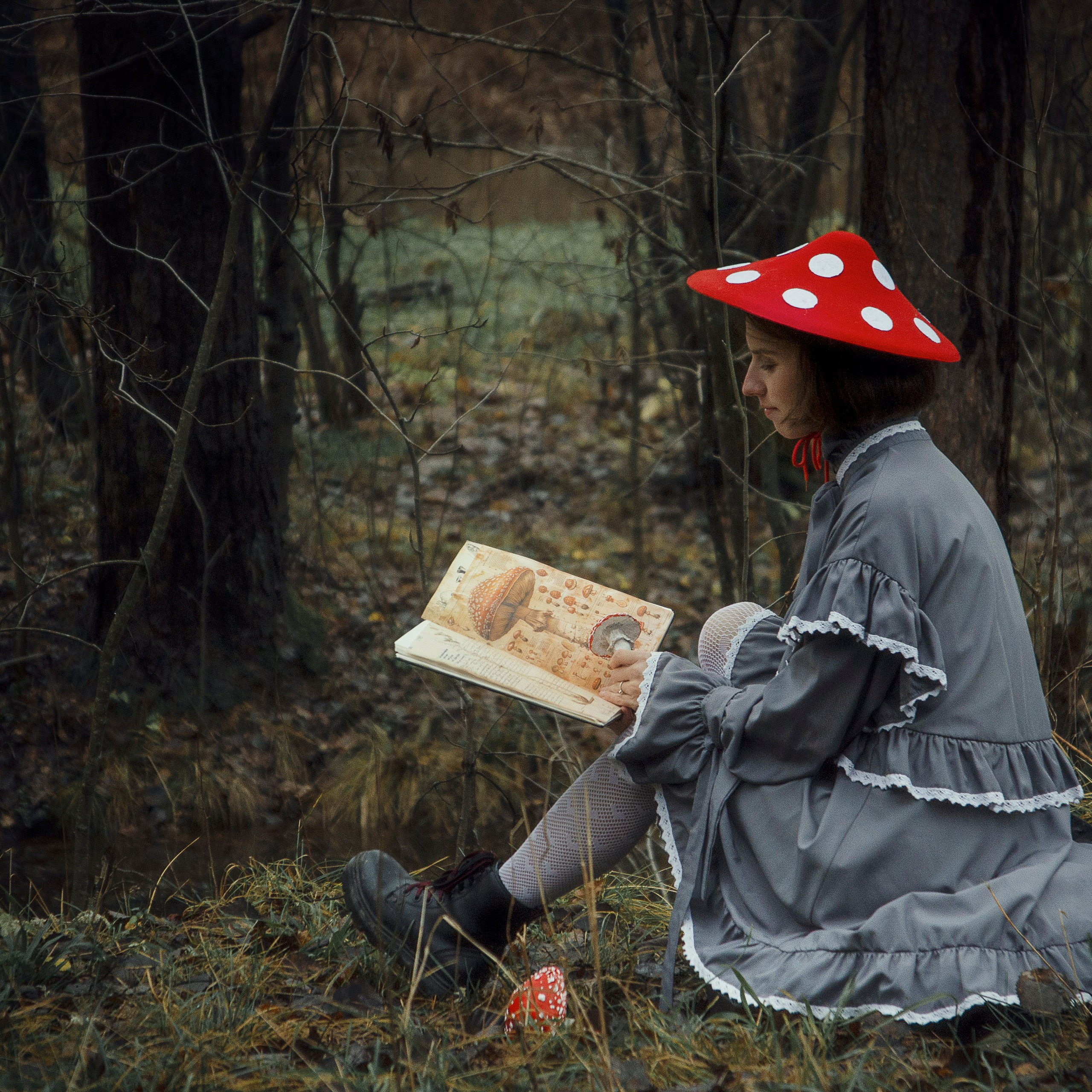 Атлас аманитовых чудес