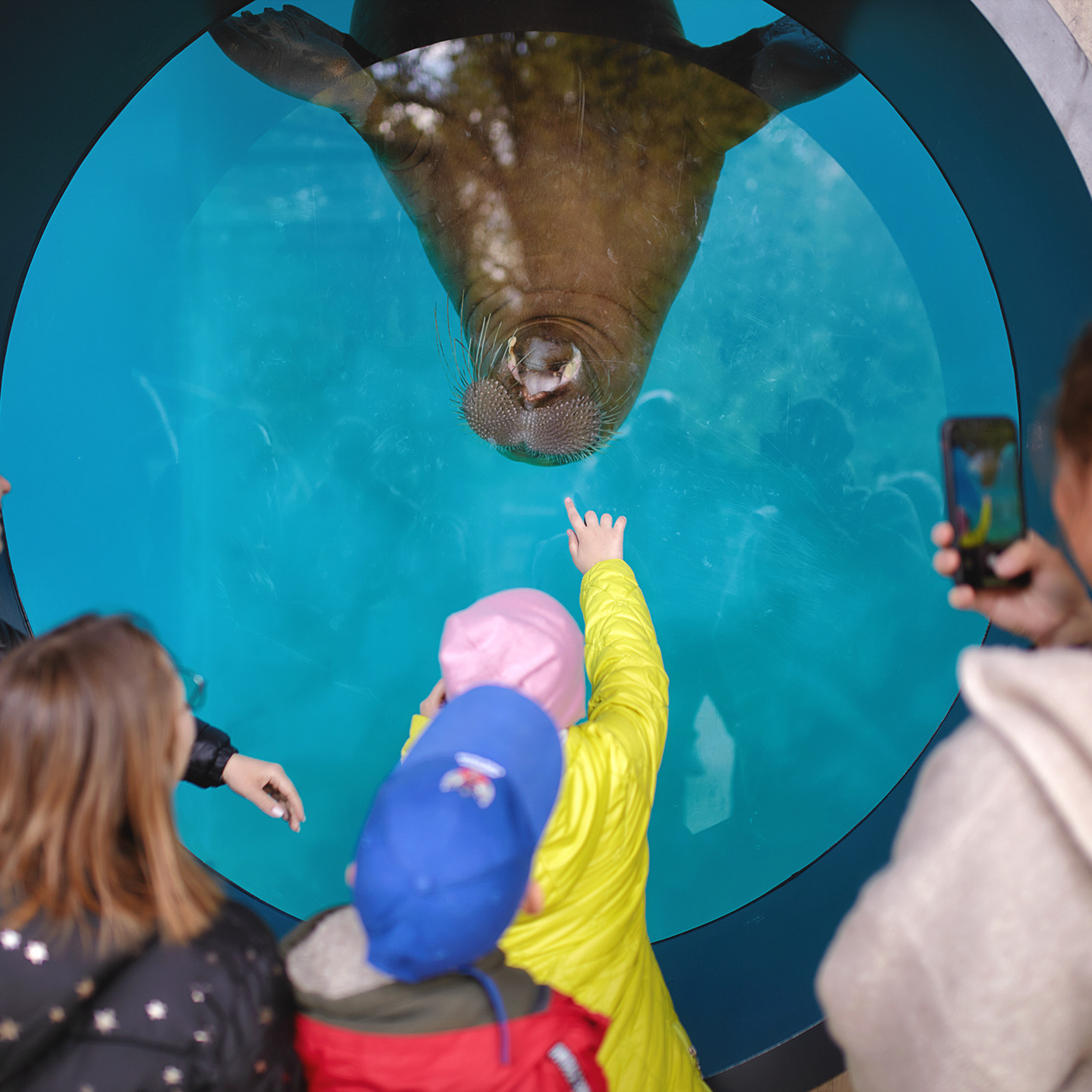 Фотодень с проектом Дети.Про+ в зоопарке