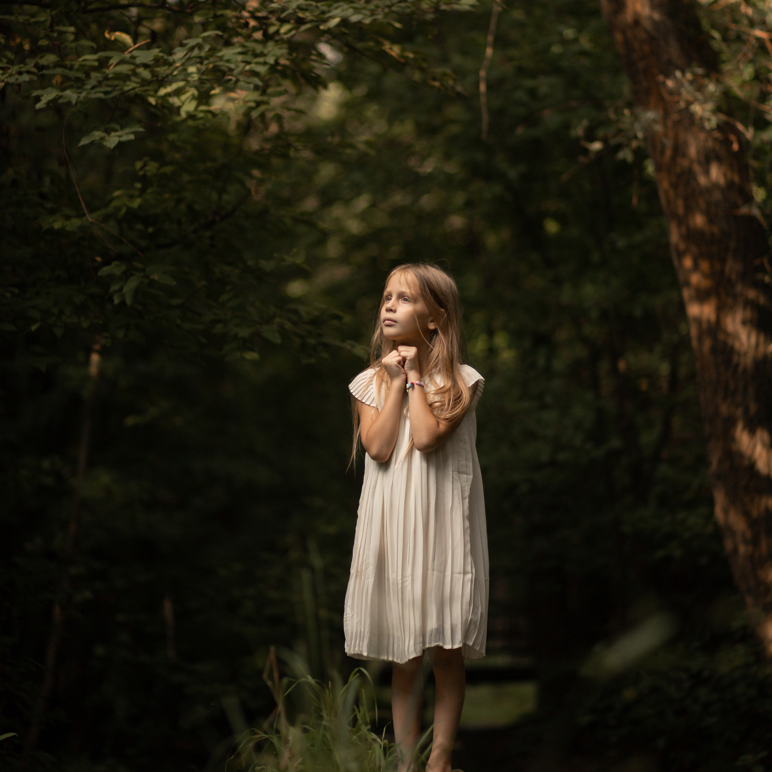 Портфолио. Главная