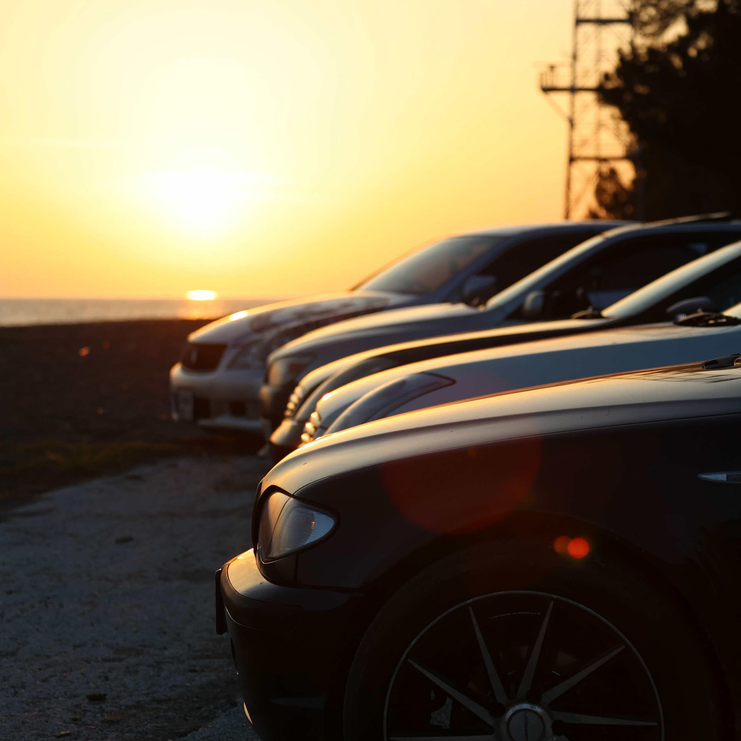 Отзывы. Фотограф в Санкт-Петербурге и Москве Макс Спектор