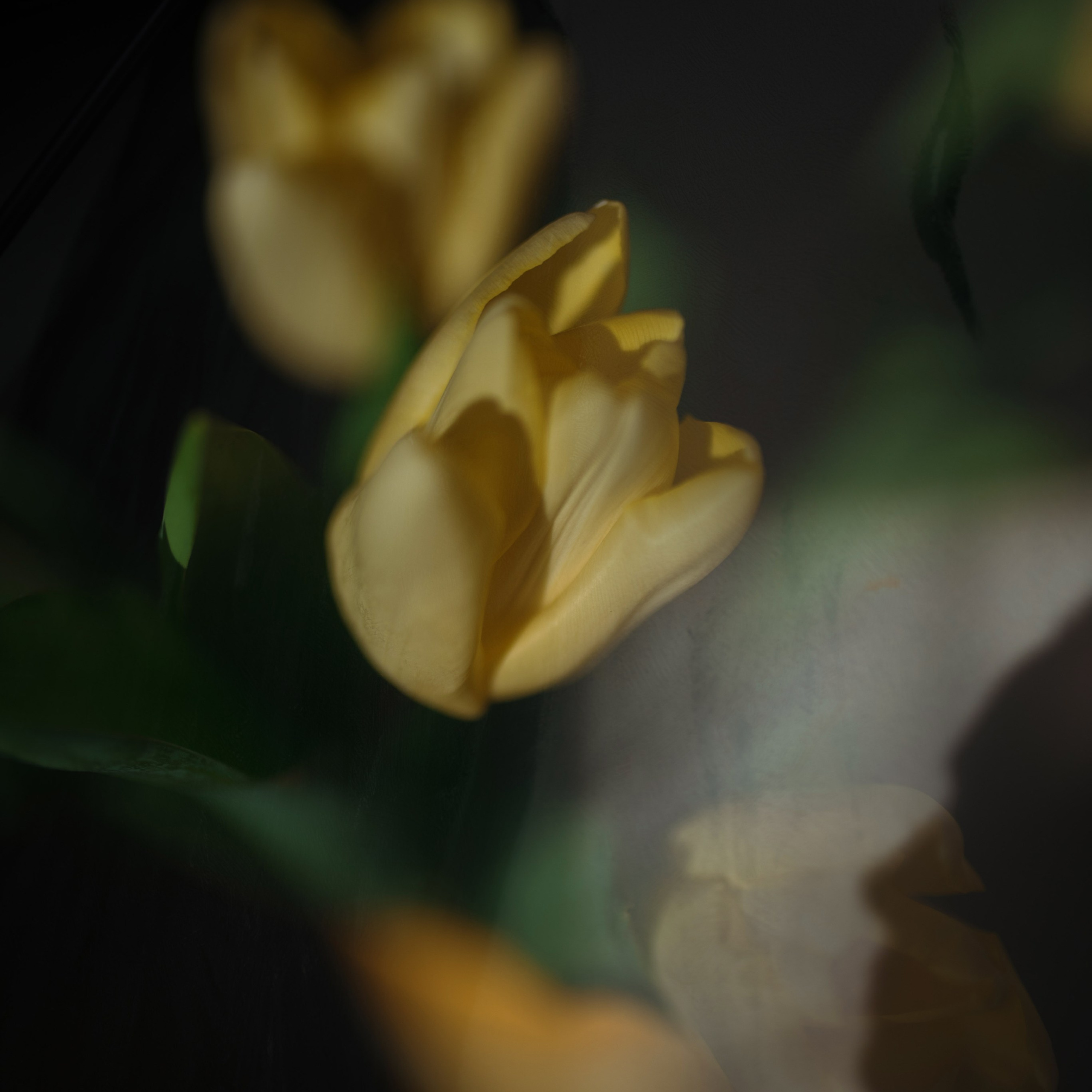 Ожидание прекрасного