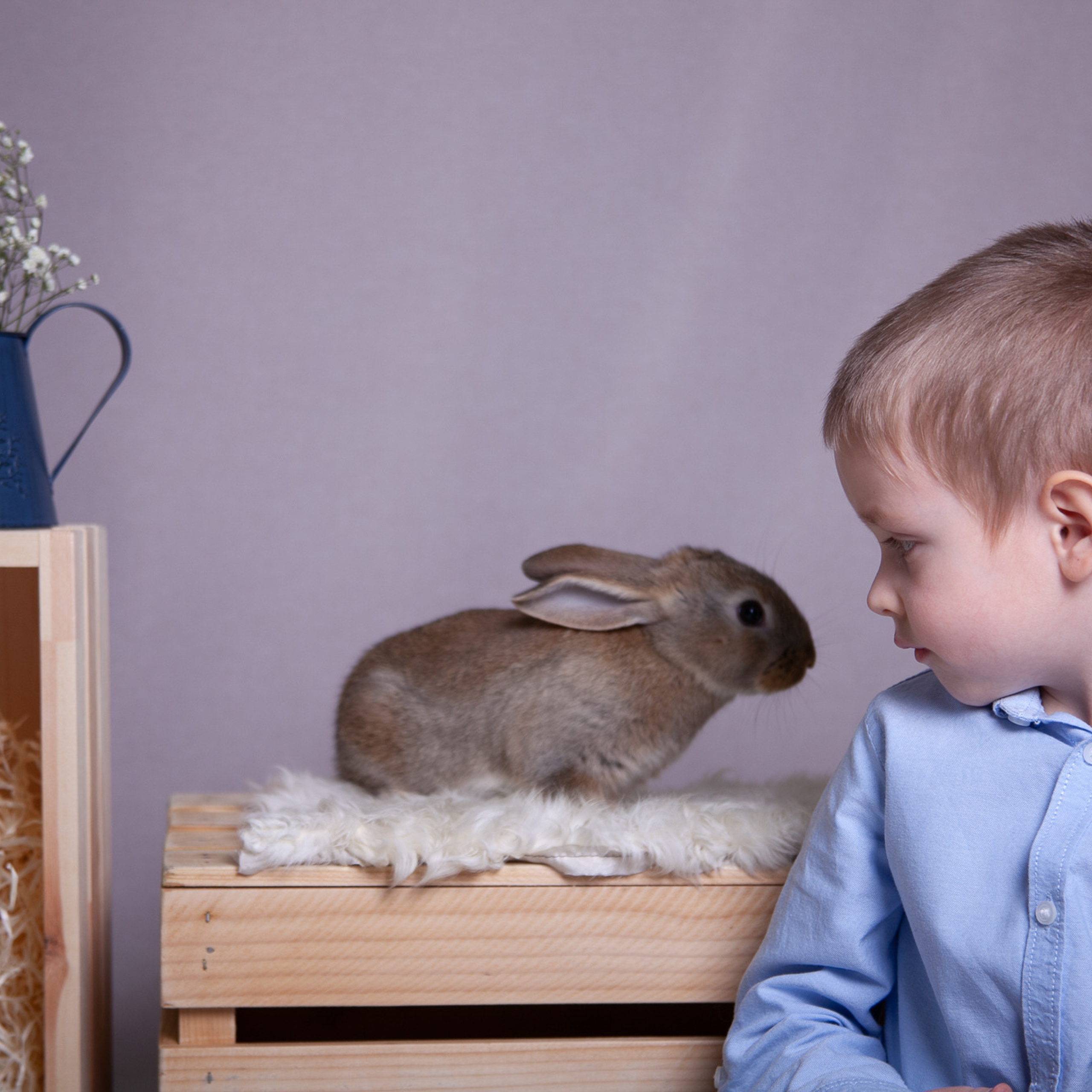 Отзывы. Фотостудия Панда