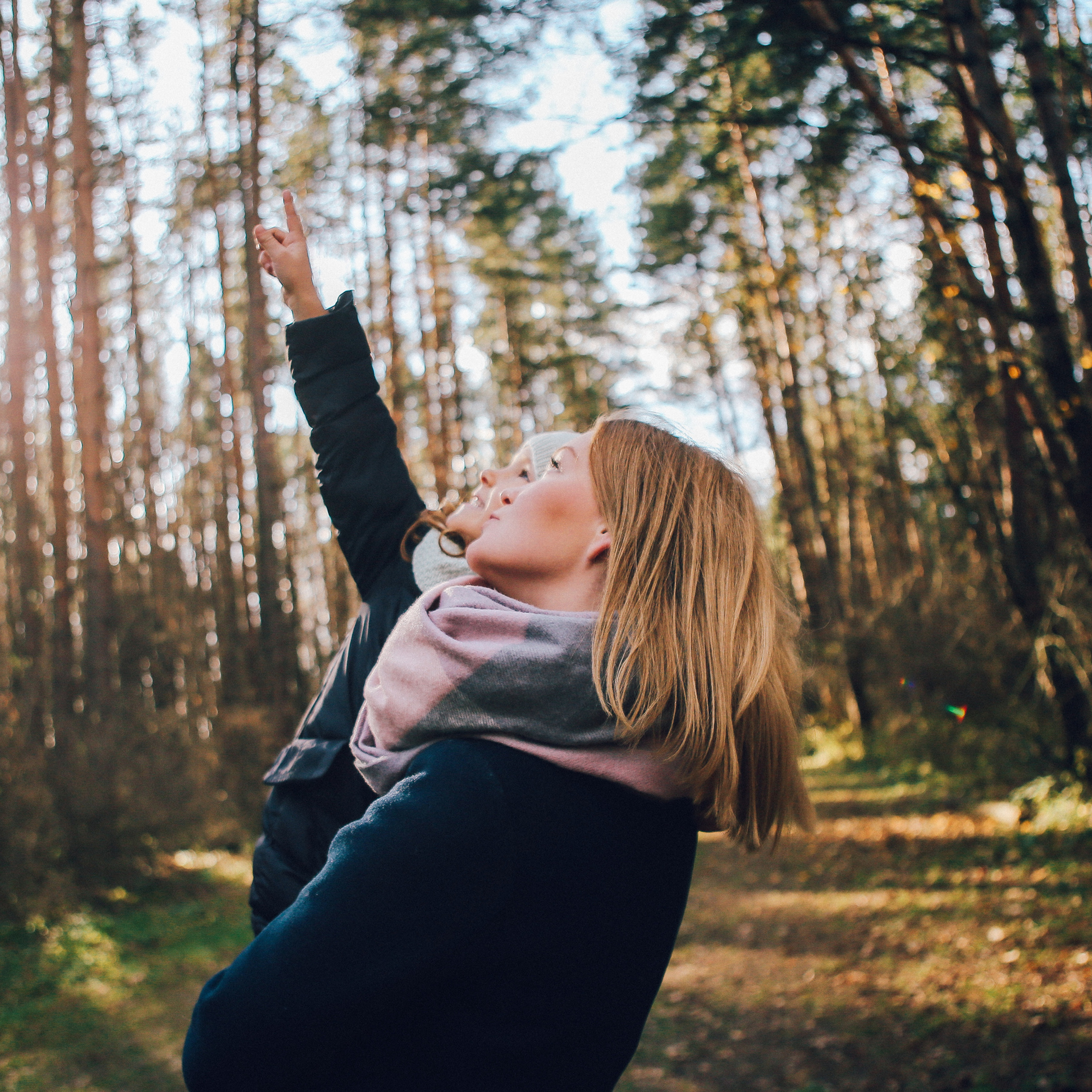 В&nbsp;солнечном лесу