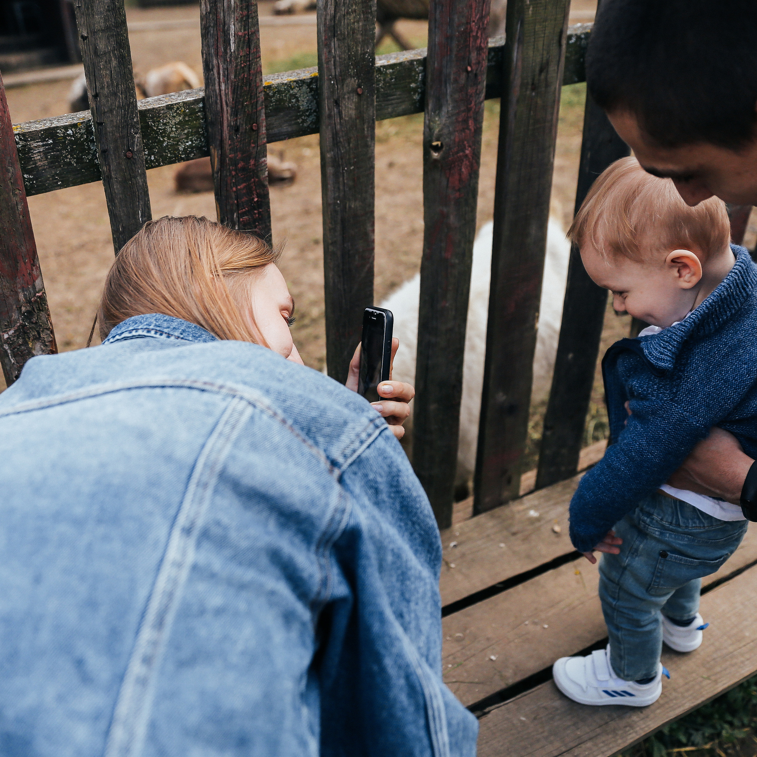 Пока все дома