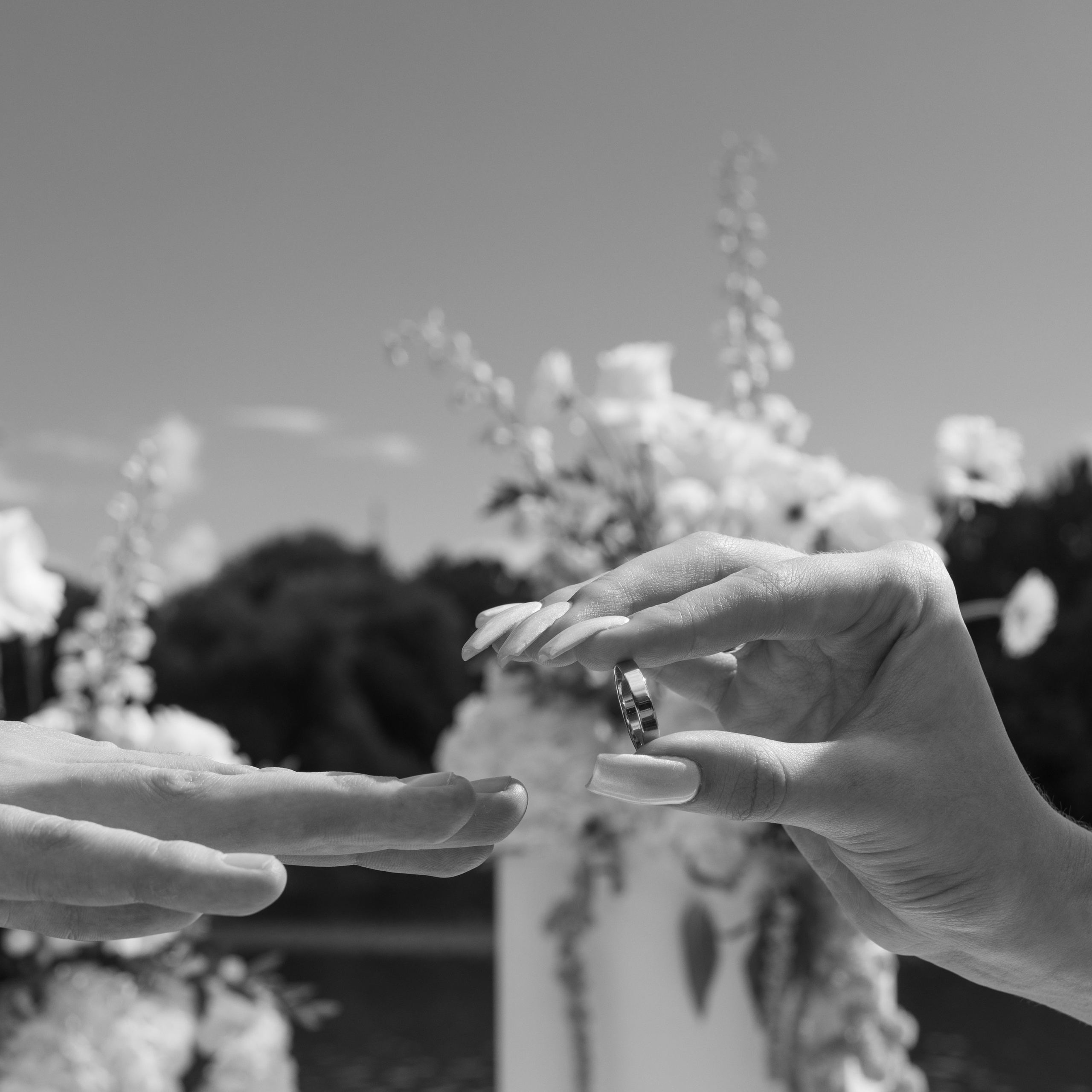 Полный свадебный день