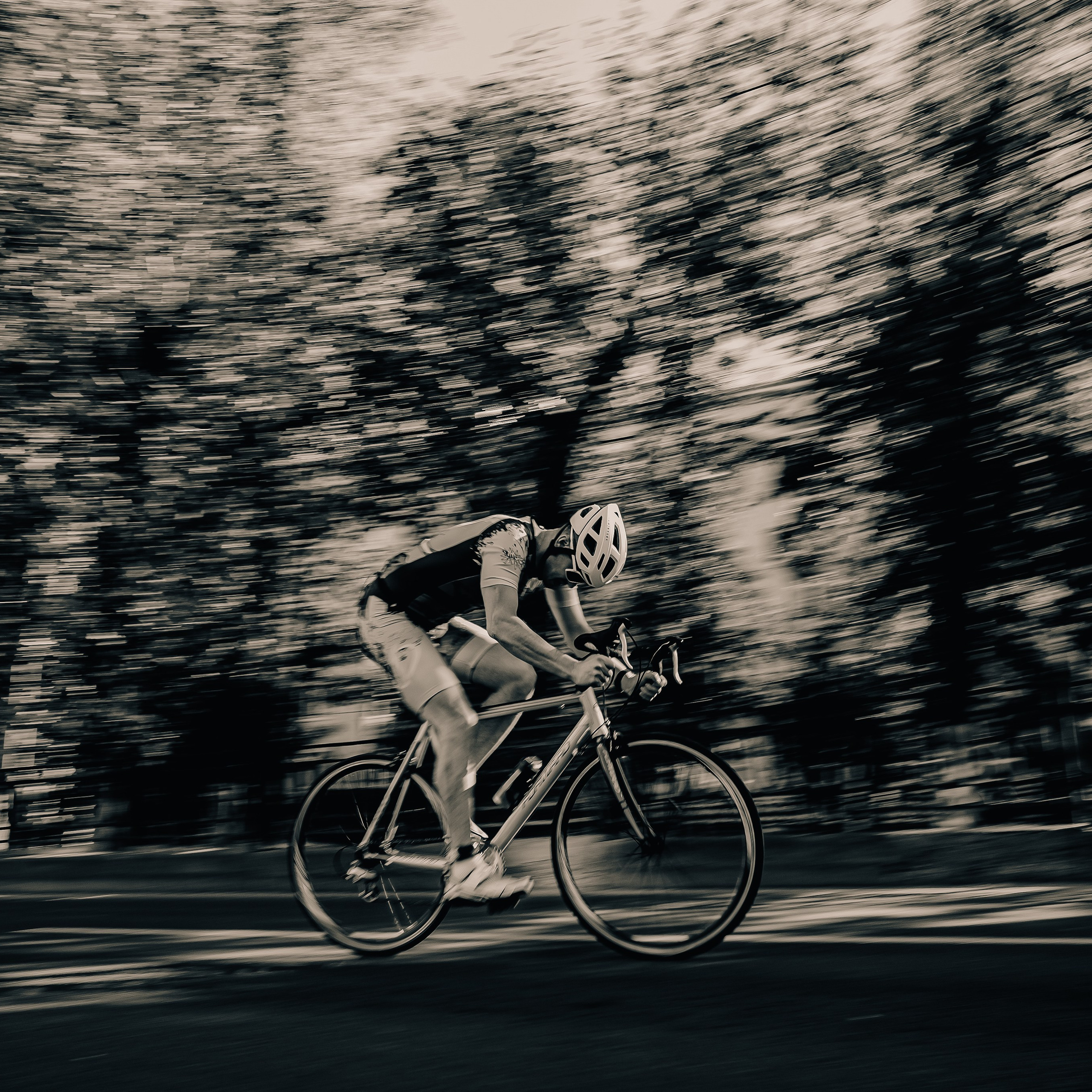 Вятские Холмы 2025