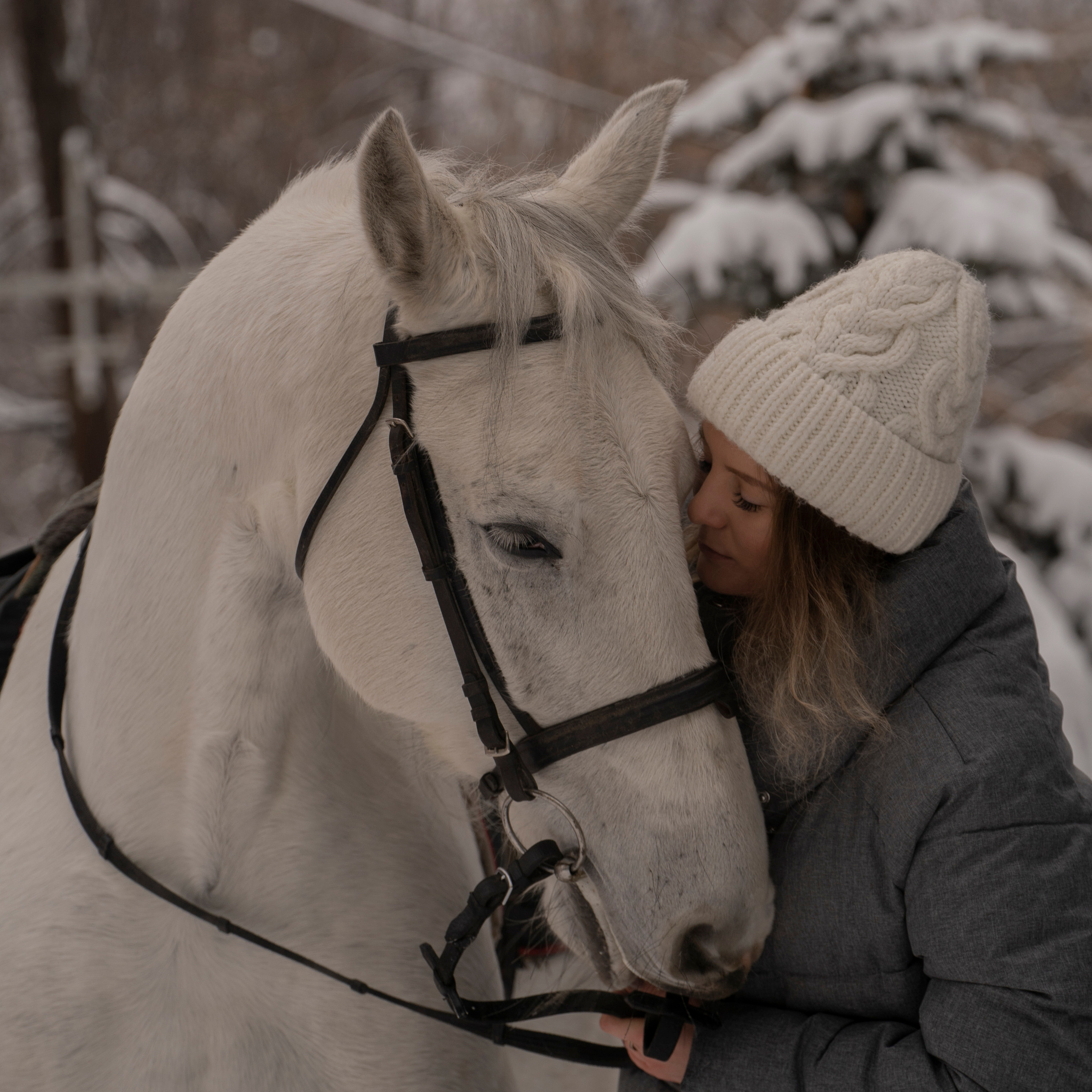 История о&nbsp;дружбе