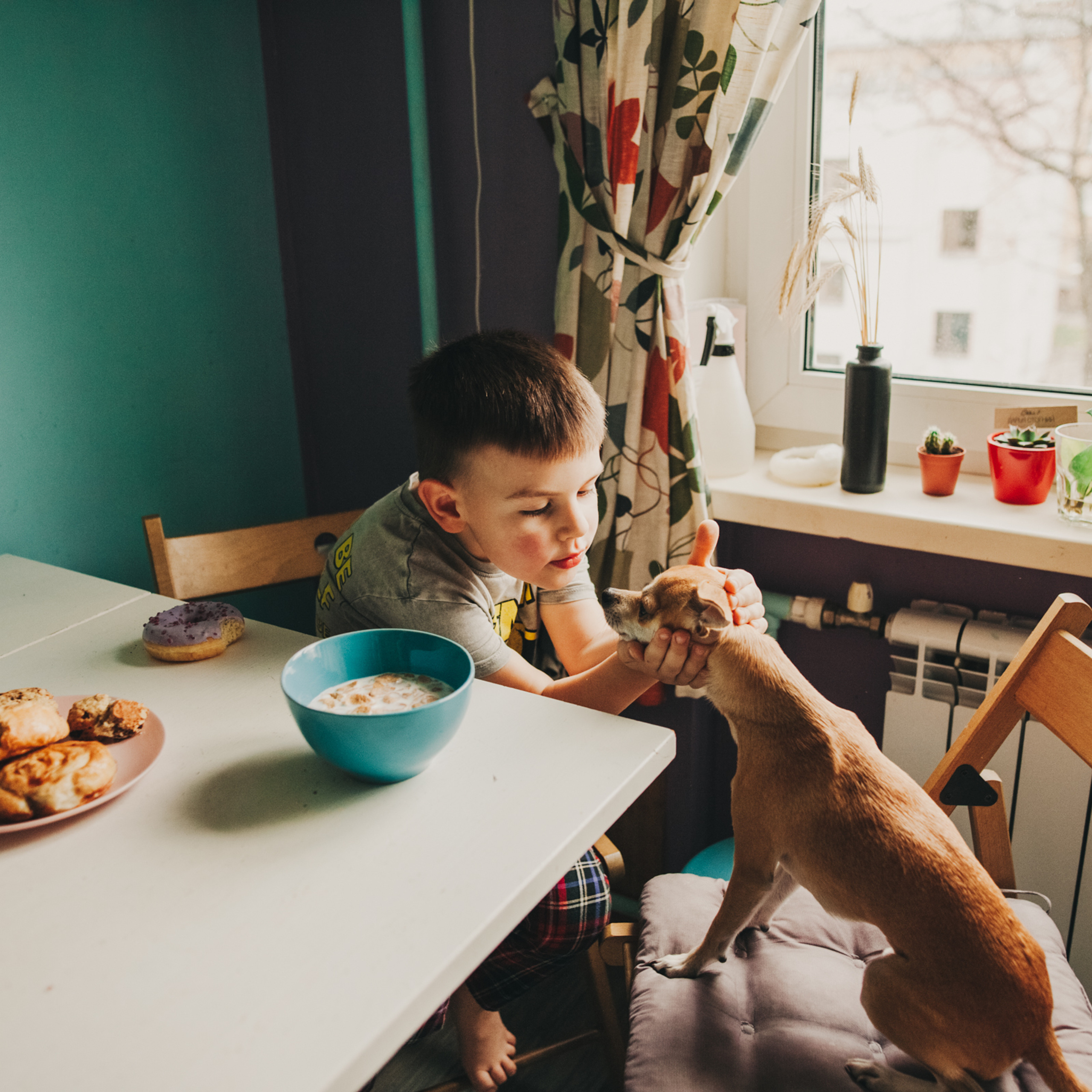 Даша, Даня, Боба. Фотоистория буднего дня.