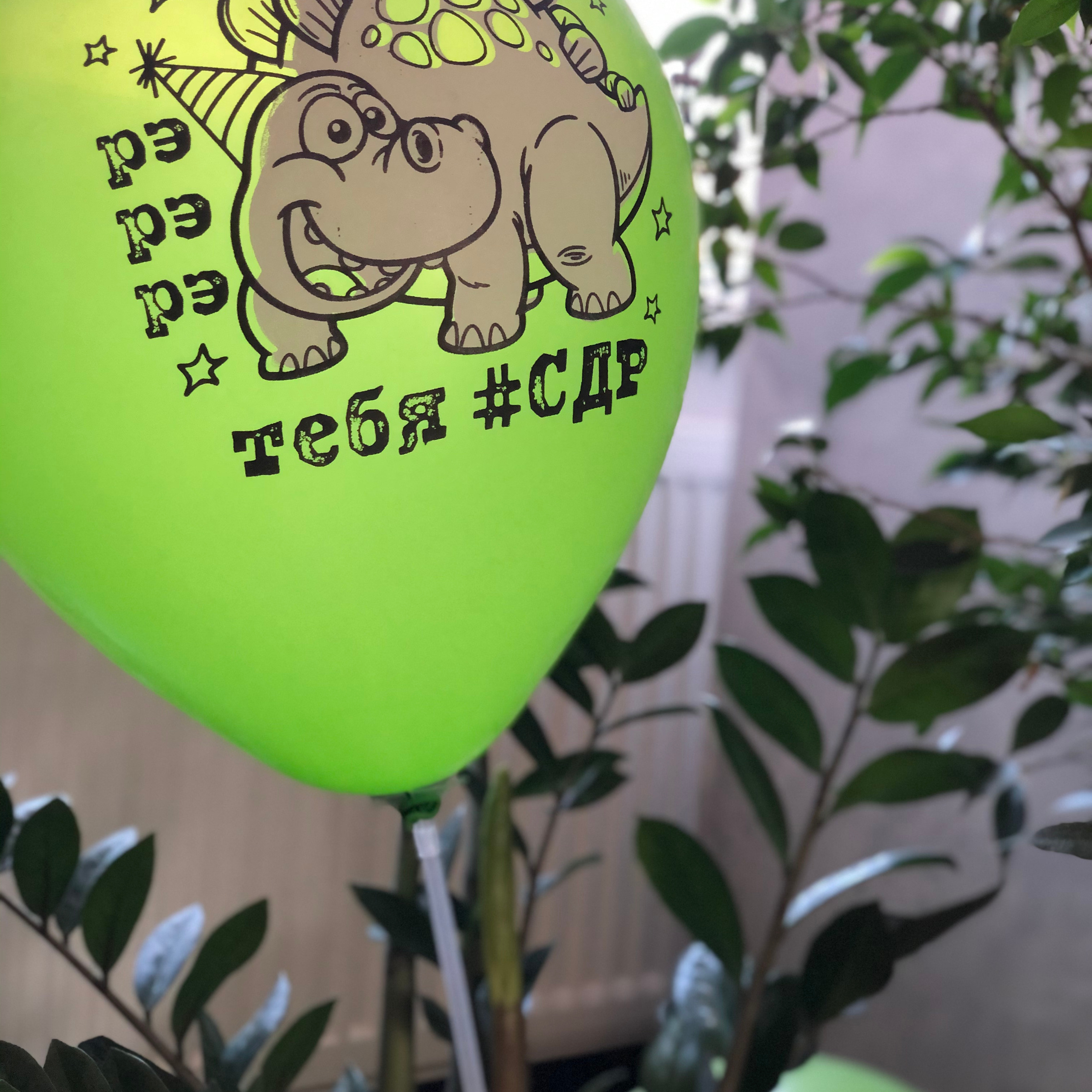 Отзывы. Портретный и лайфстайл фотограф в Москве Катерина Медведева