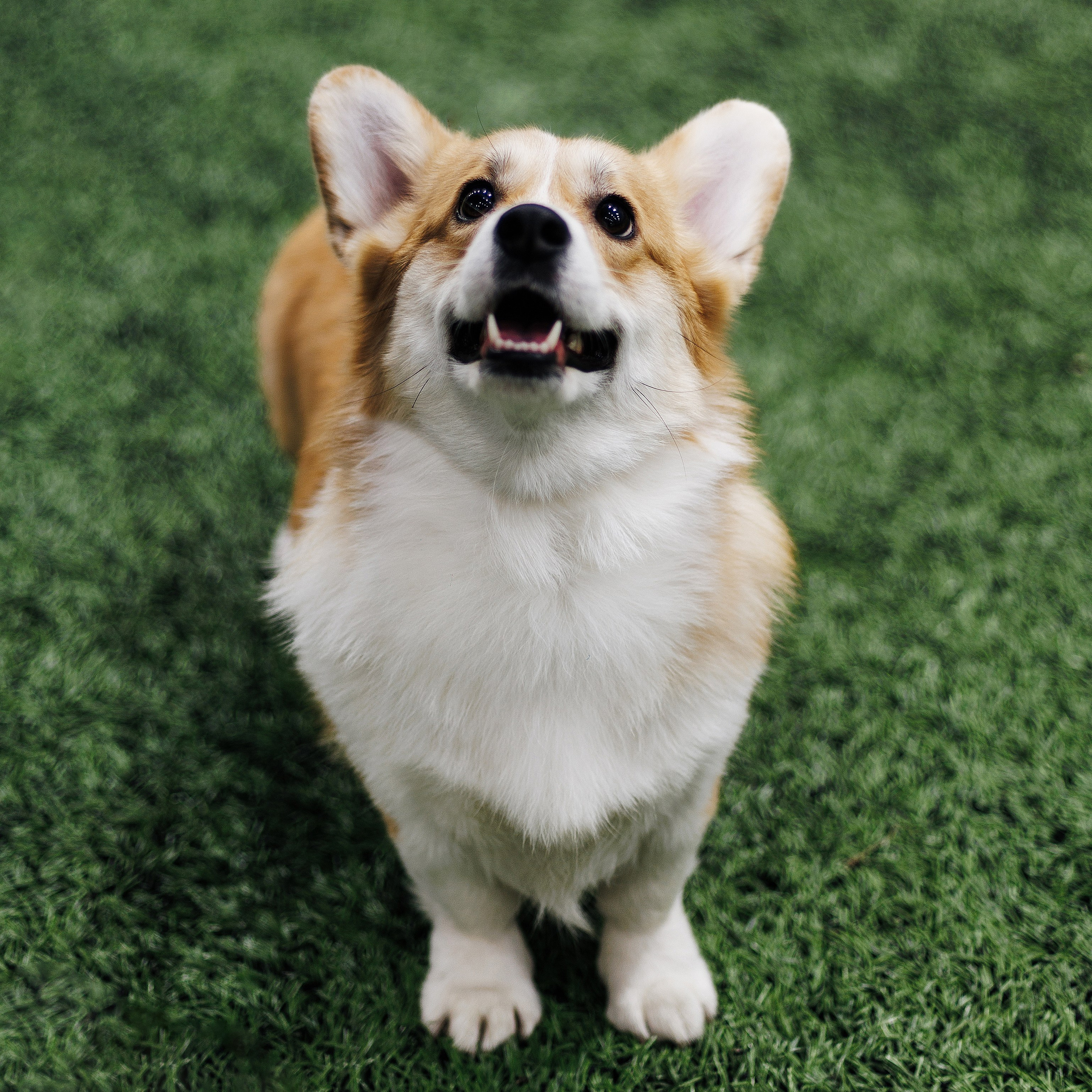 Отзывы. Свадебный и семейный фотограф в городе Воронеж. Ирина Боловина