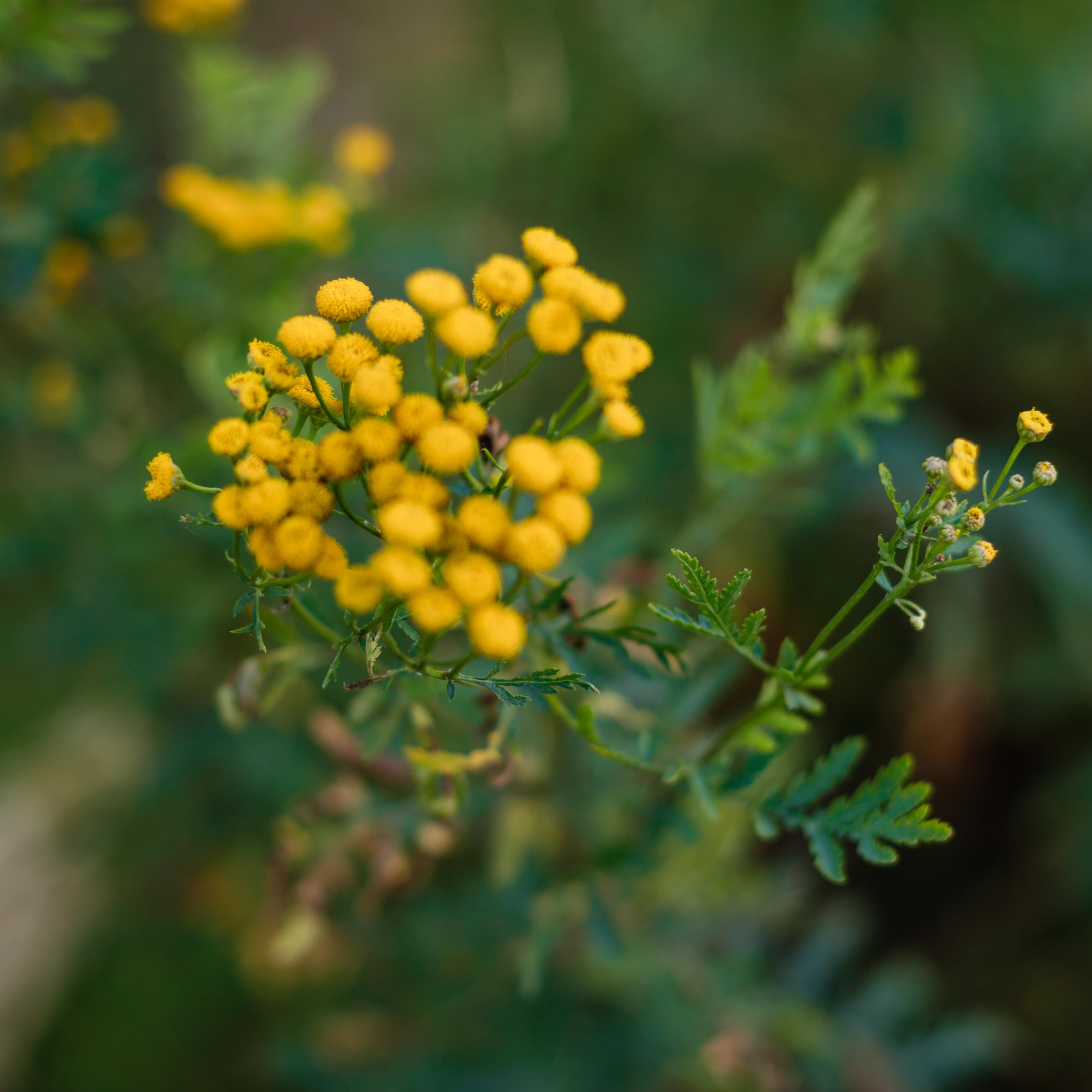 Отзывы. Свадебный и семейный фотограф в городе Воронеж. Ирина Боловина