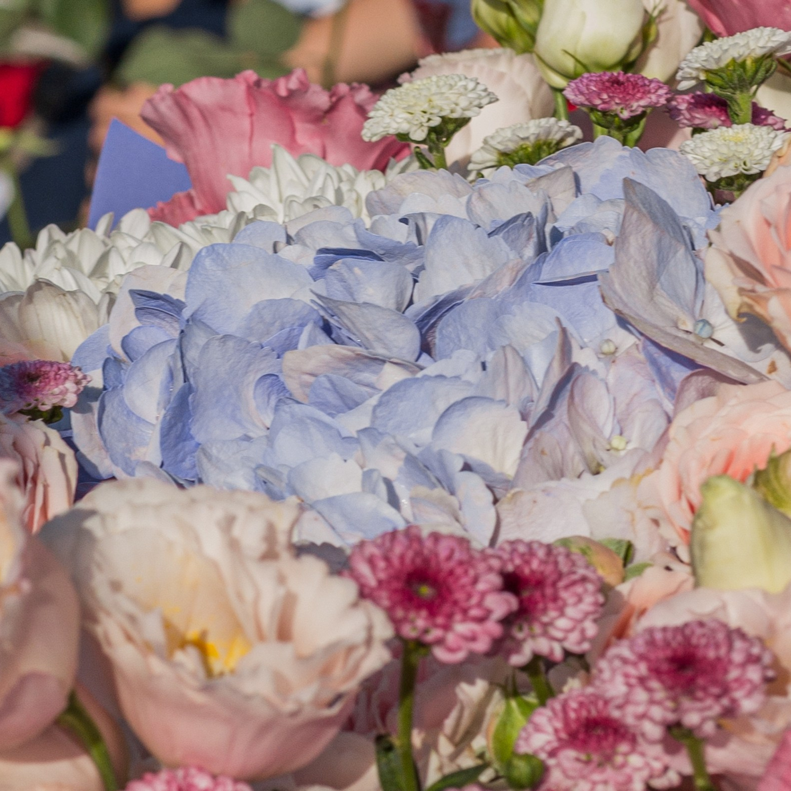 Отзывы о фотосессиях новорождённых