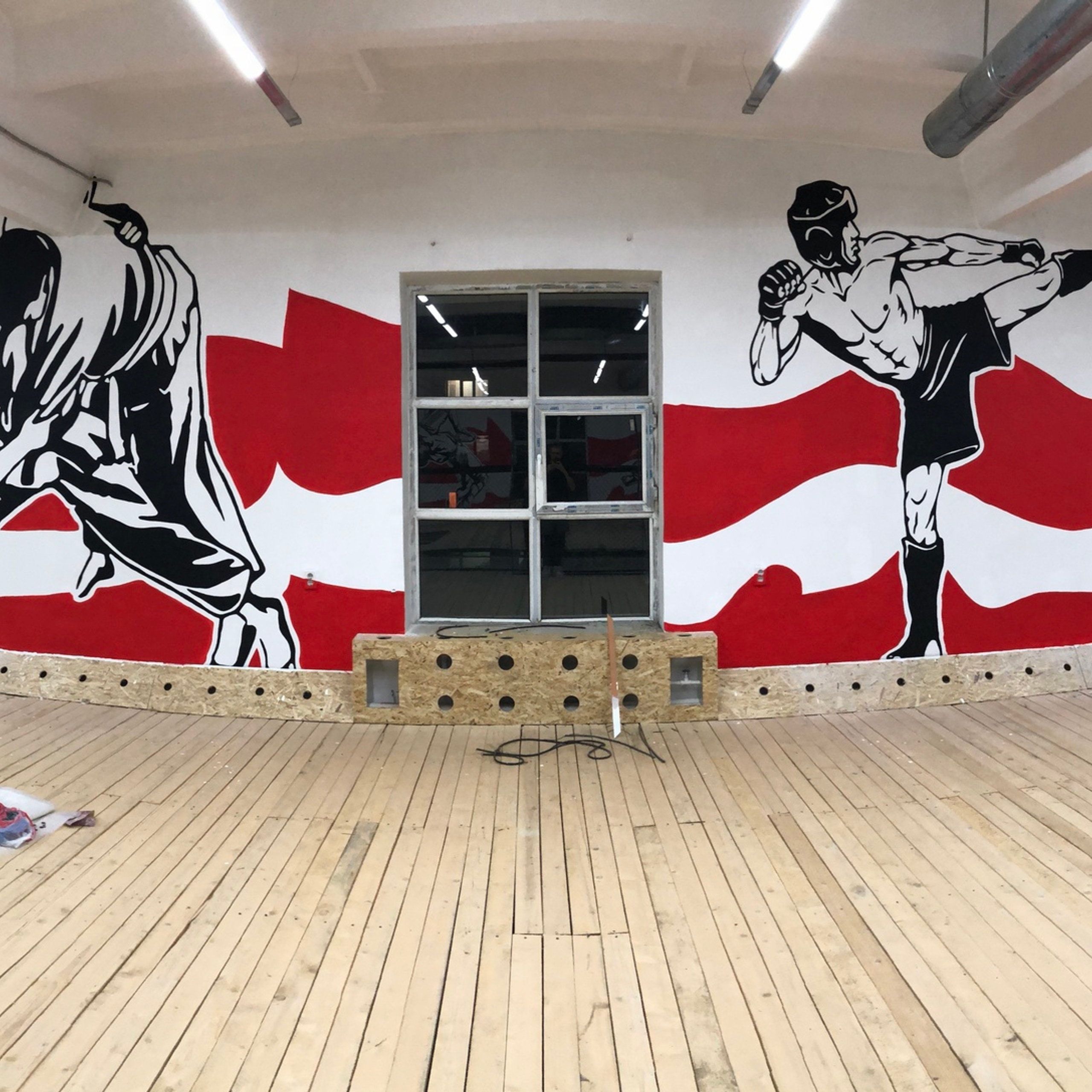 Роспись стен в спортивном зале боевых искусств. Усть-Каменогорск