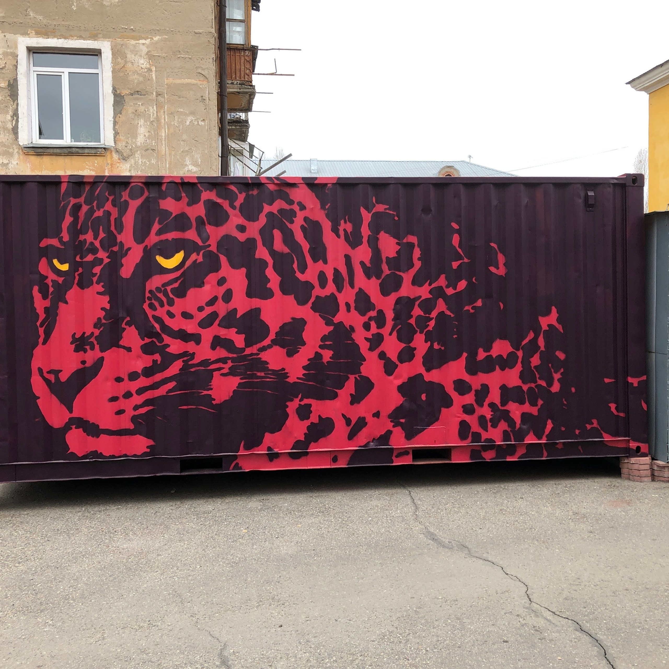 Ягуар на контейнере в городе Усть-Каменогорск. Мурал, художественное оформление фасада