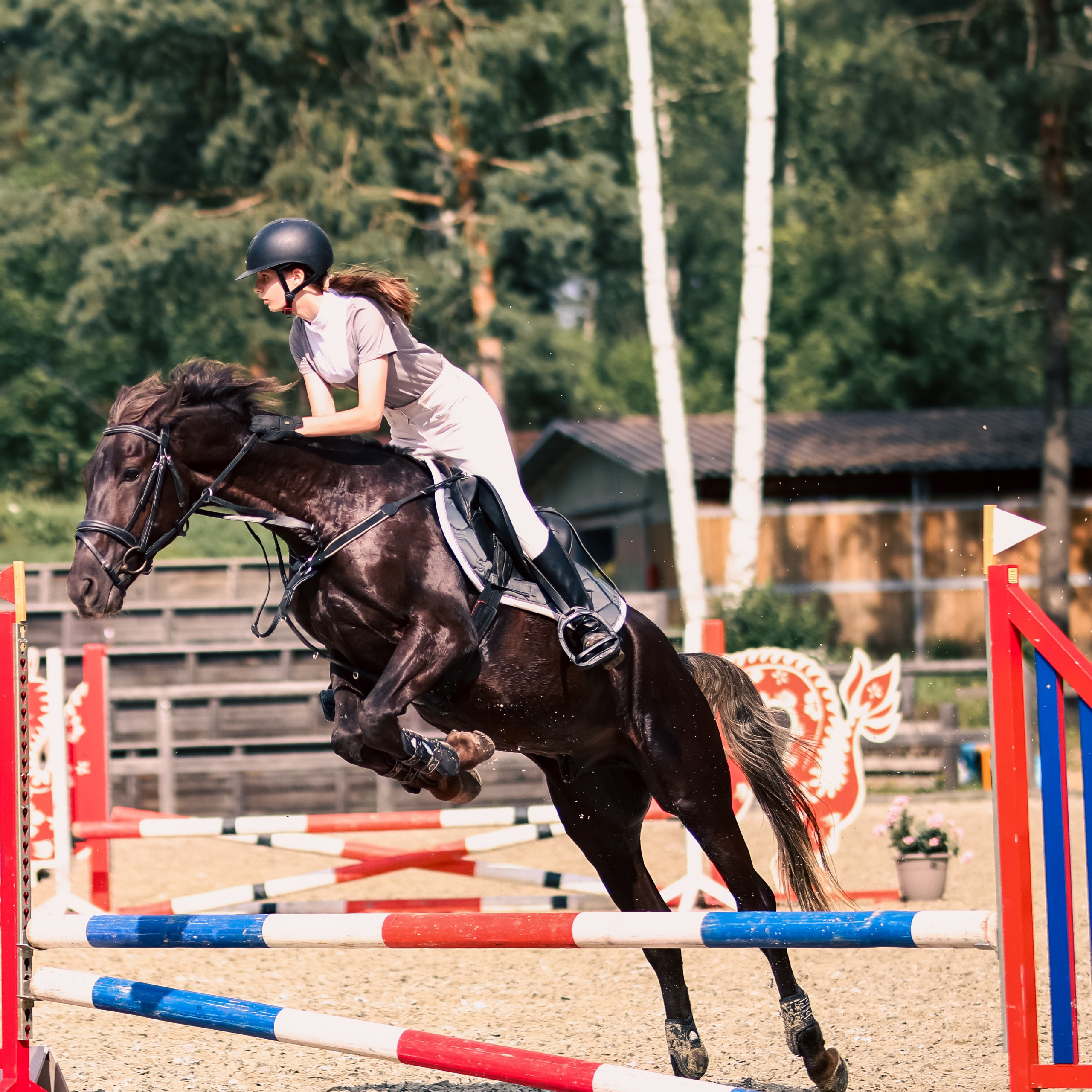 Соревнования по конному спорту