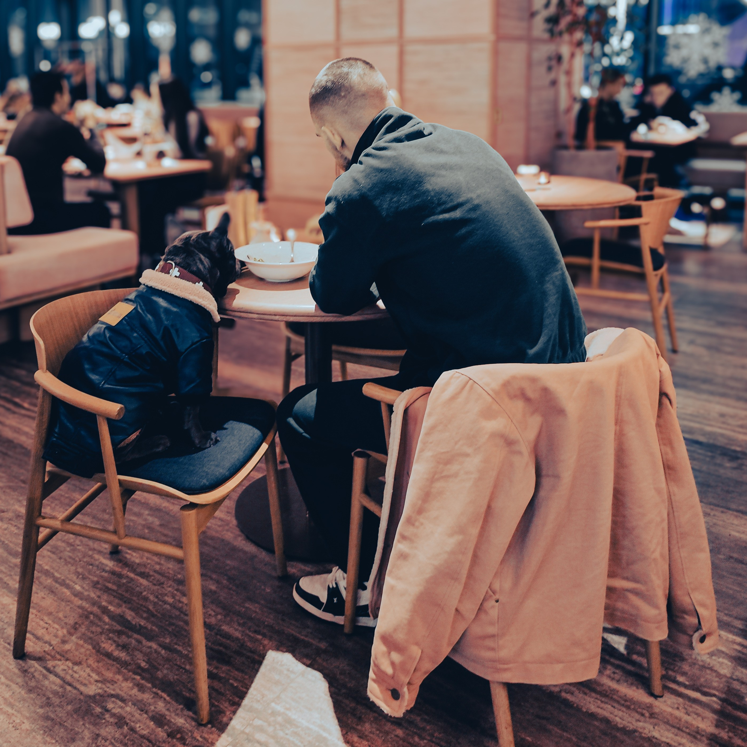 Собачки на улицах городов