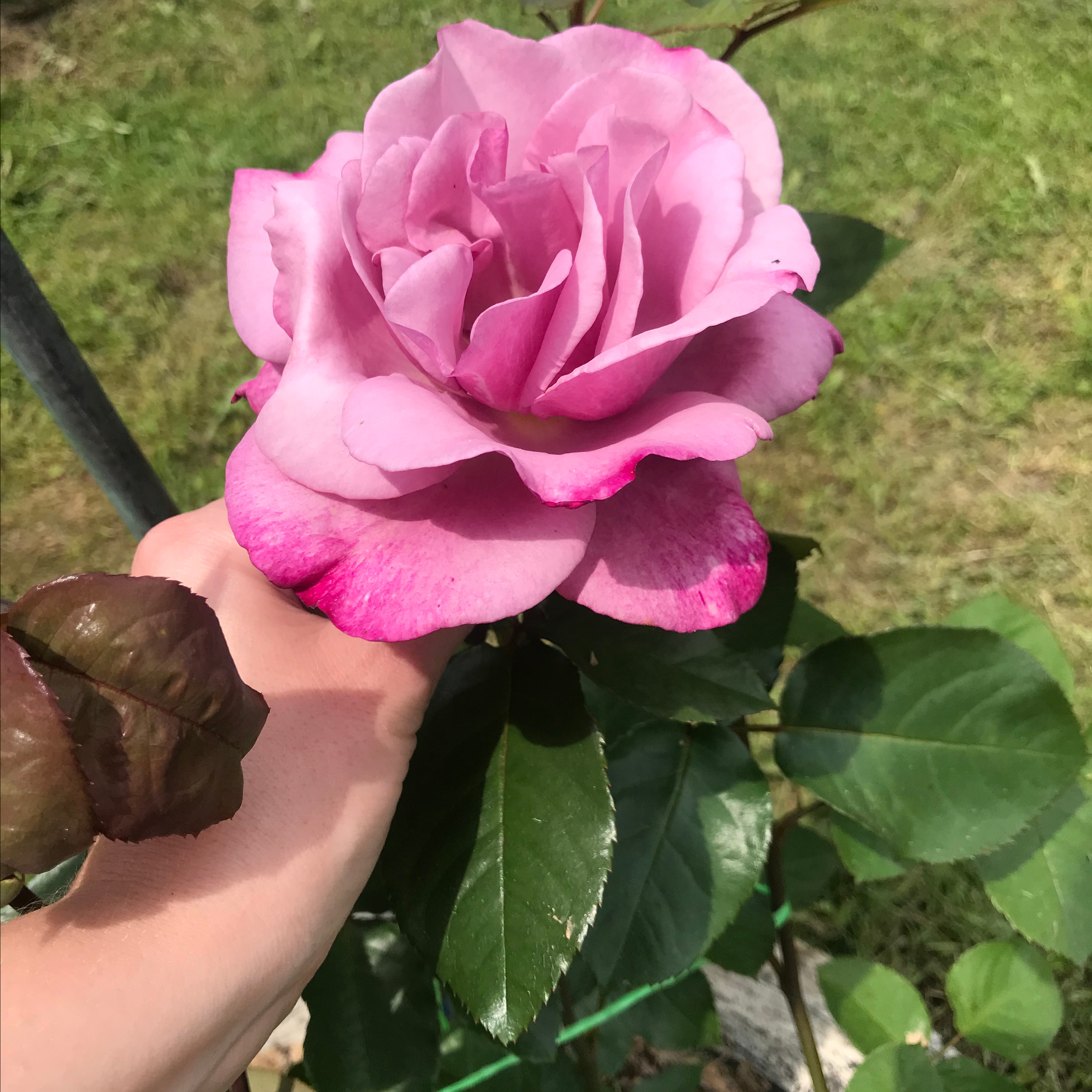 Отзывы. Онлайн помощь психолога методом гештальт терапии