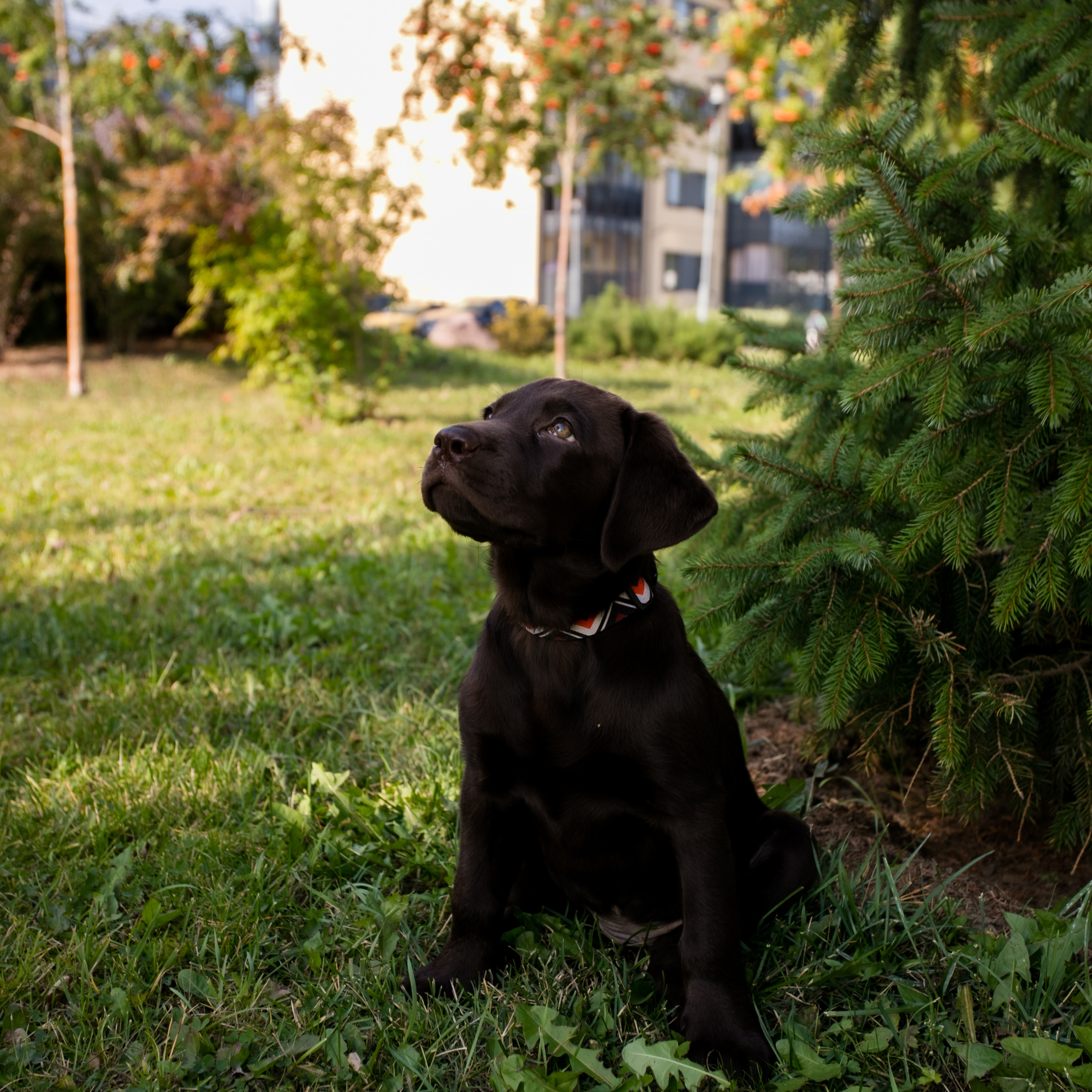 Отзывы. Семейный и детский фотограф в Санкт-Петербурге, Анастасия Воротова