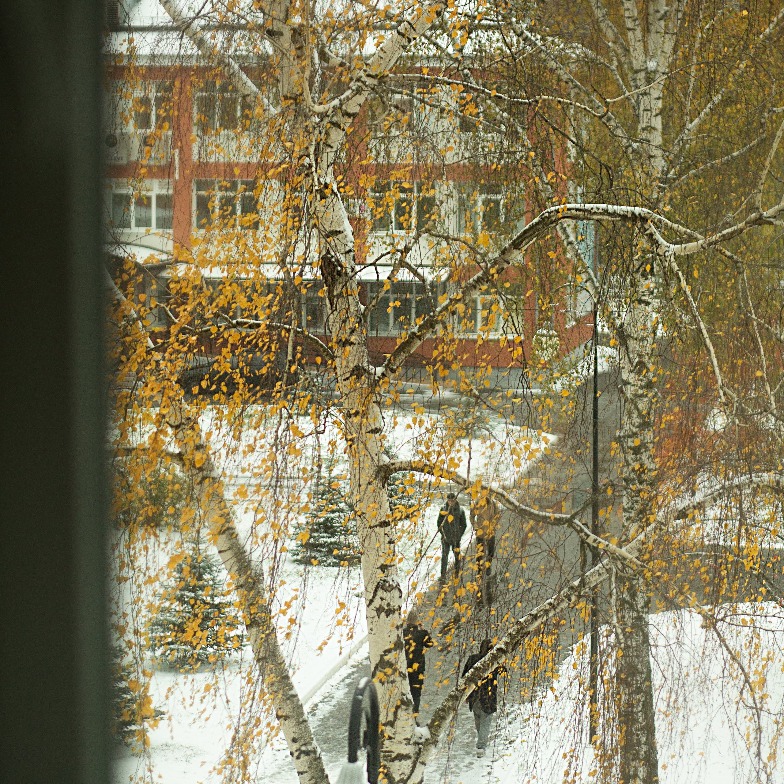 Отзывы. Съемка Таинств Крещения Венчания, детские и семейные съемки в Пензе