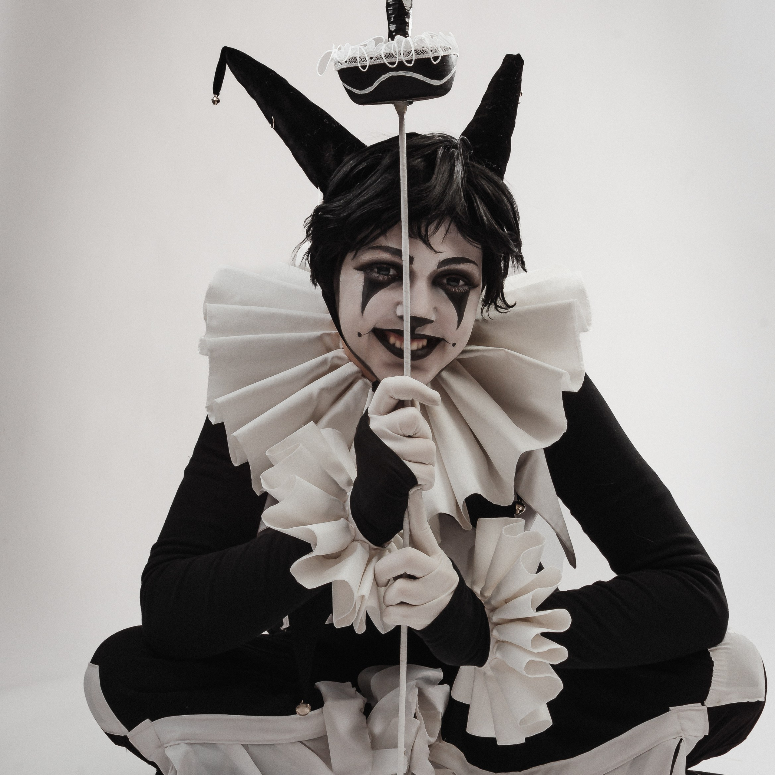 Коварный кот