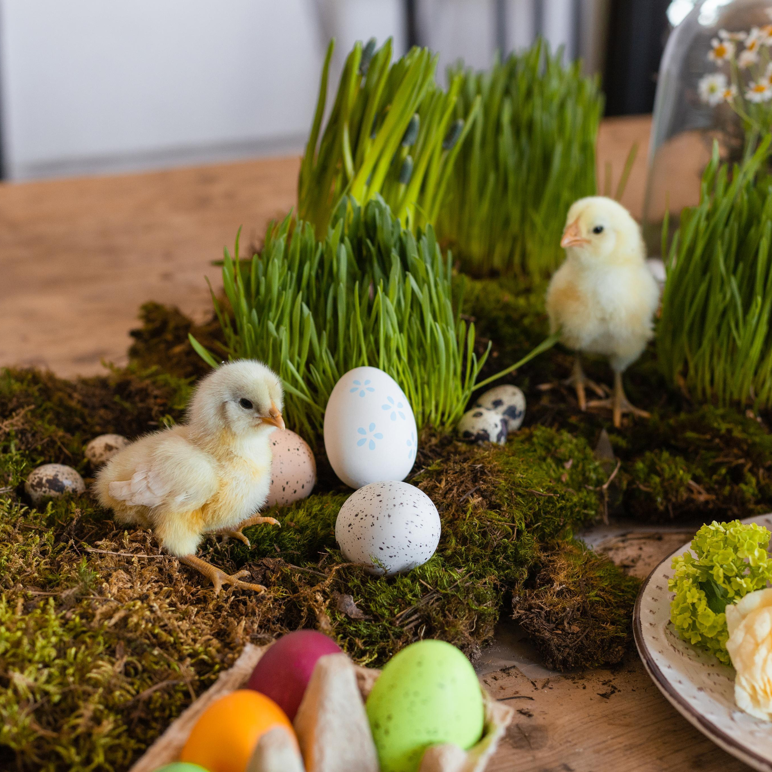 Отзывы. Предметный фоторгаф в Нижнем Новгороде Мортина Екатерина