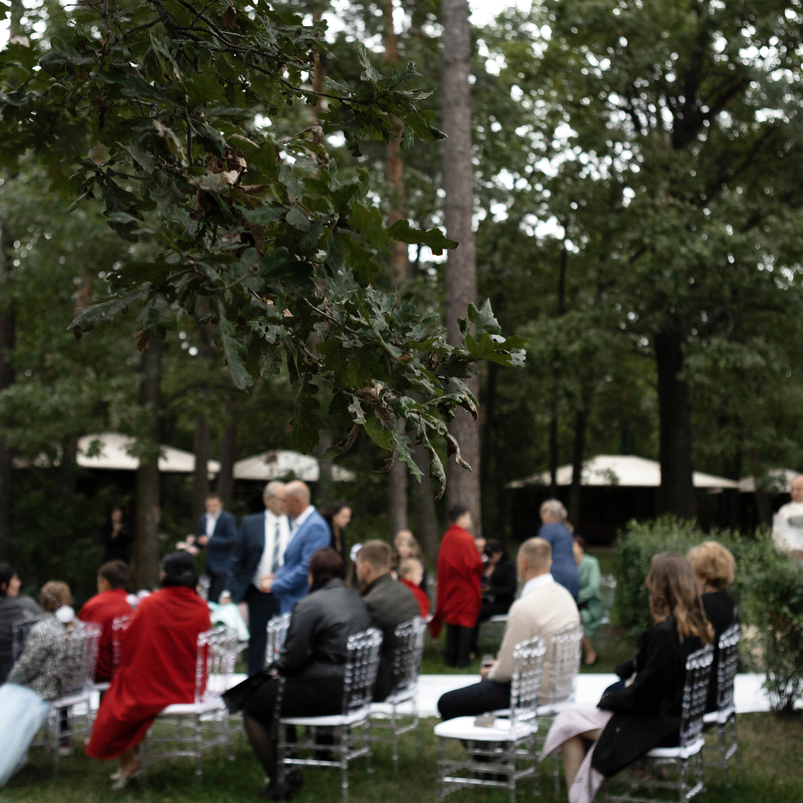 Отзывы. Фотограф Дубровская Виктория