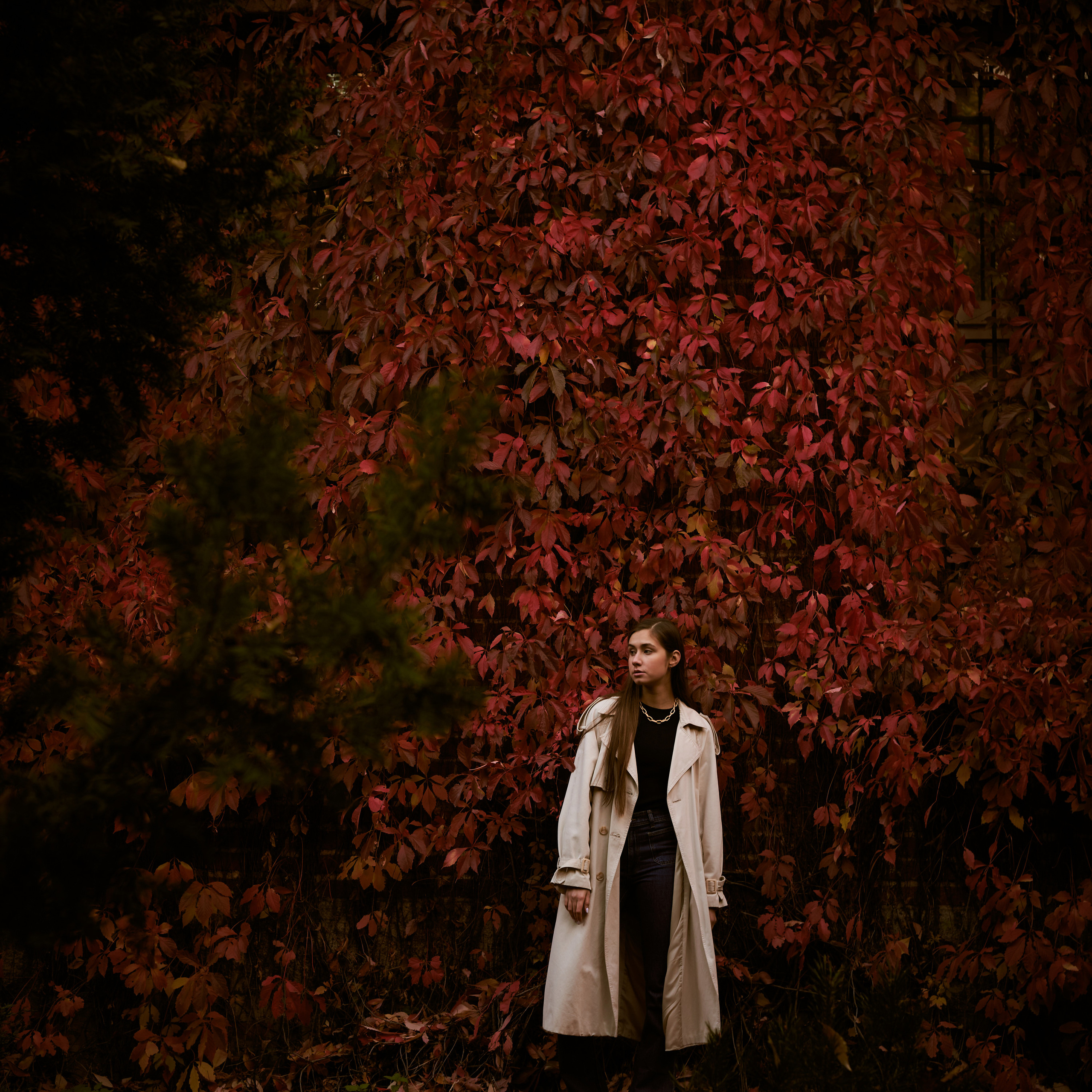 Прогулка с Настей