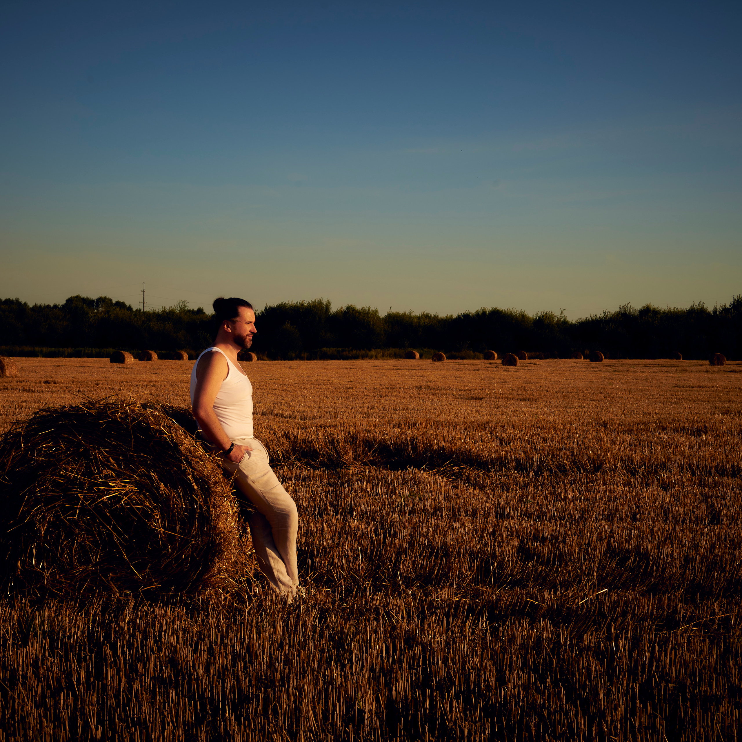 стога сена 13.08.22