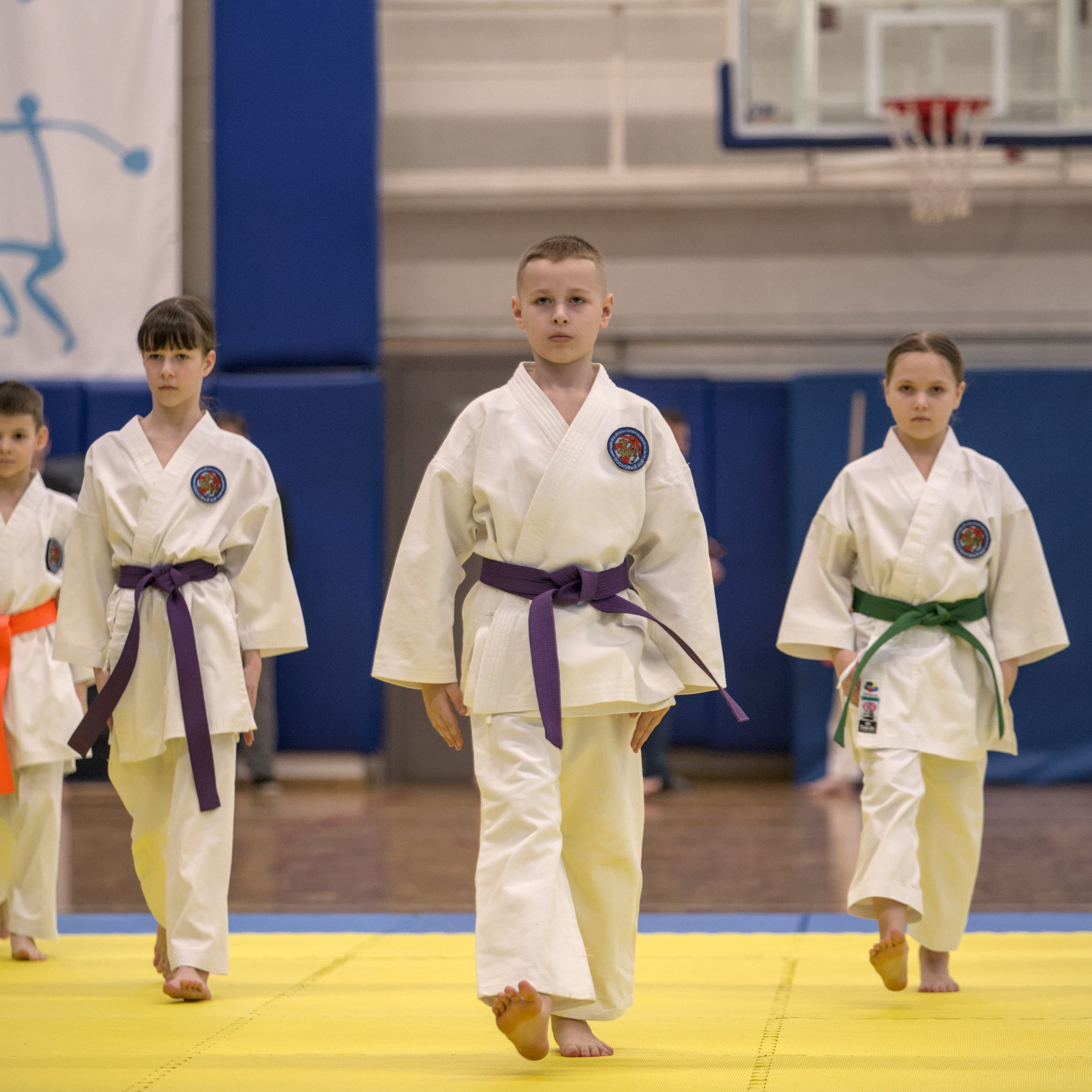 Карате. XXIII фестиваль школ японской борьбы (апрель 2025)