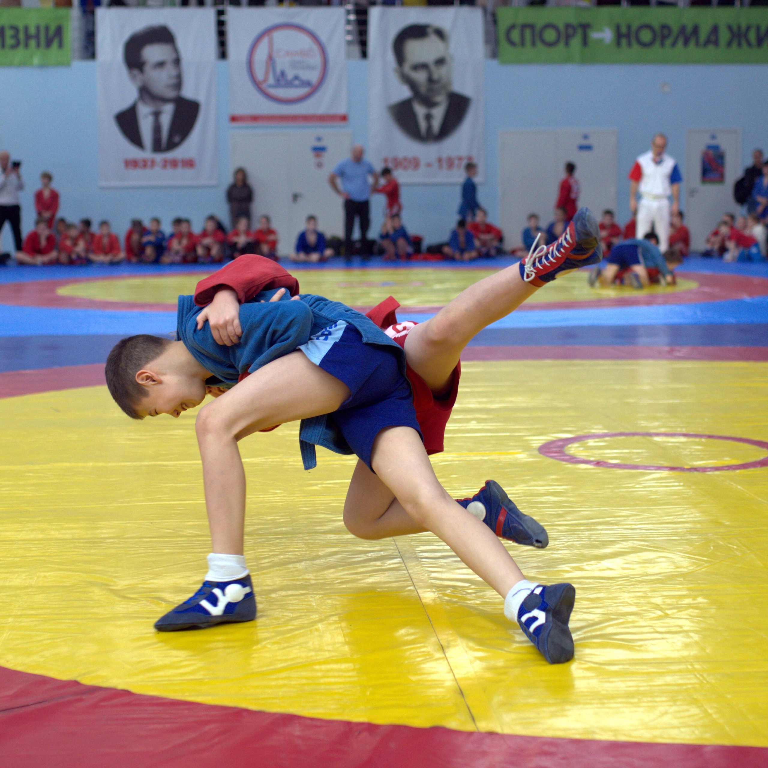 Самбо. Турнир к дню самбо (ноябрь 2023)