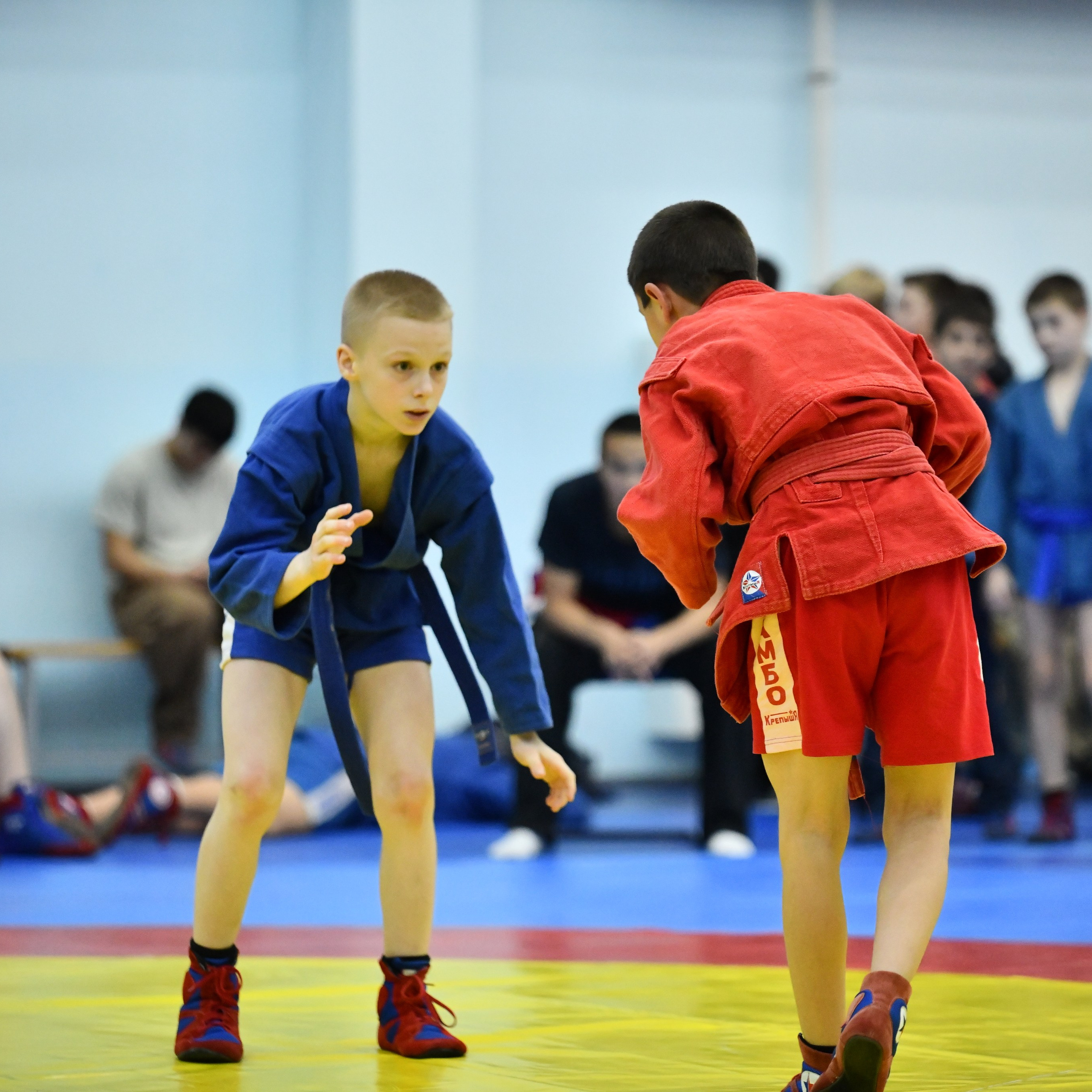 Самбо. Турнир памяти В. И. Минакова (октябрь 2024)