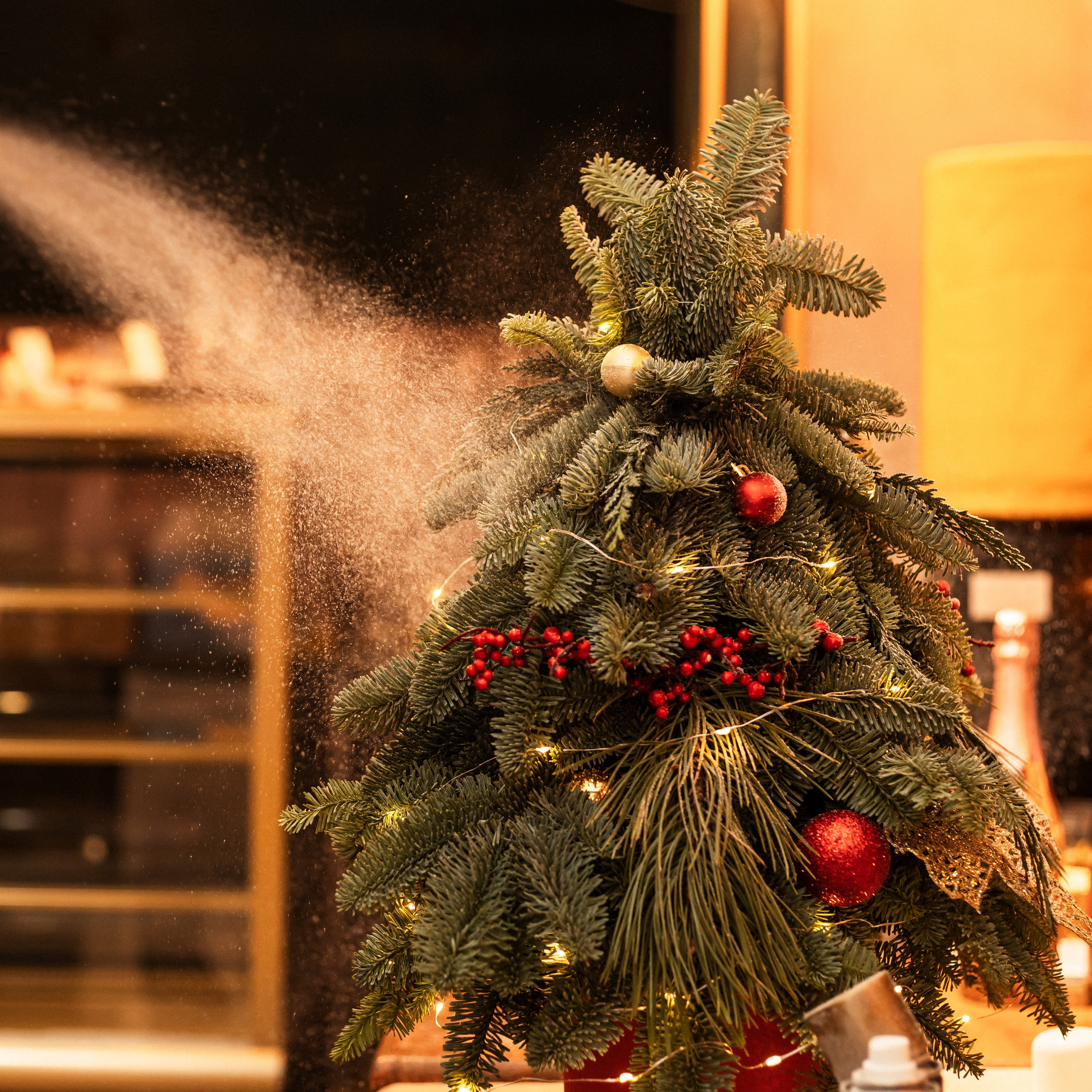 МК Ёлки (LETO)