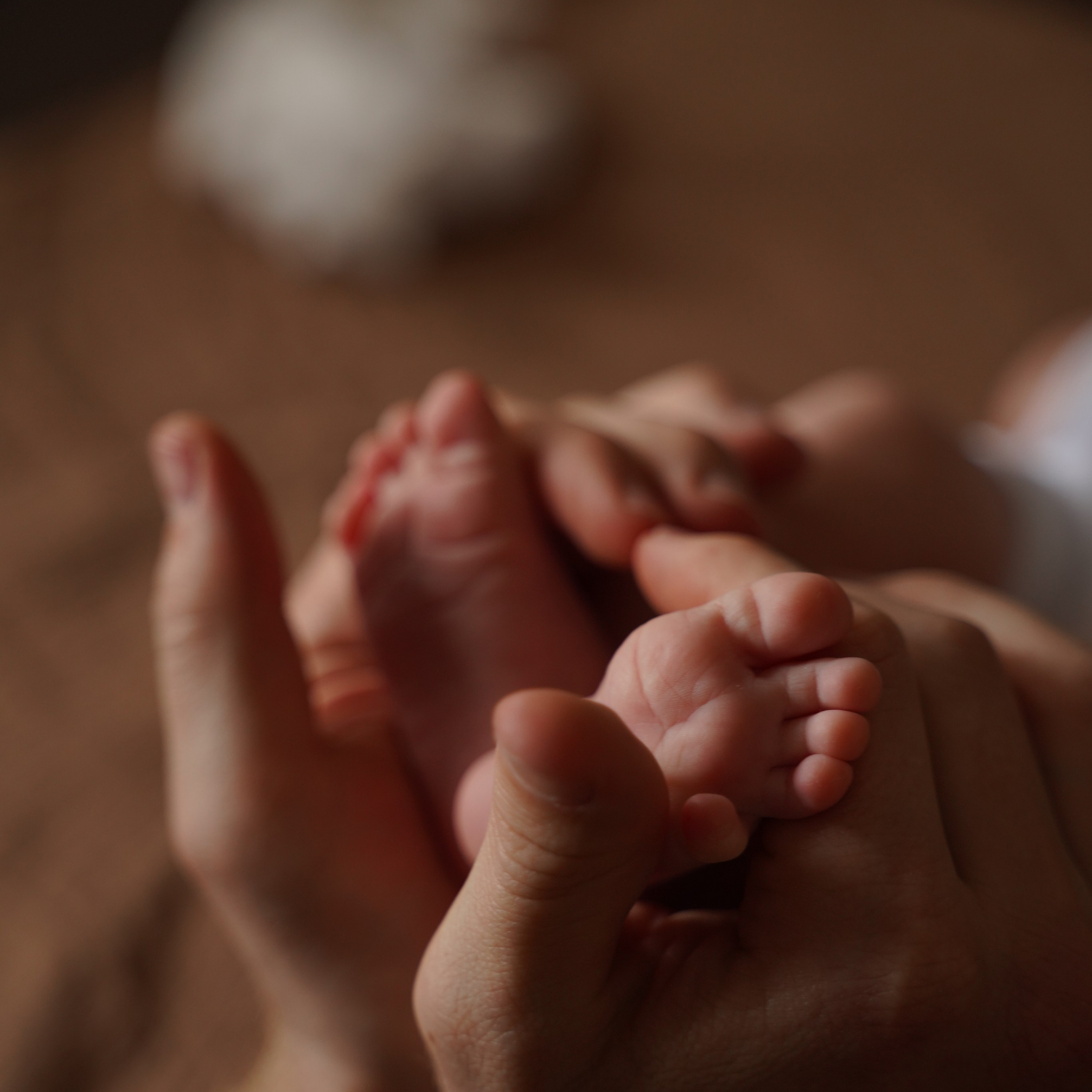 семья Долмонего