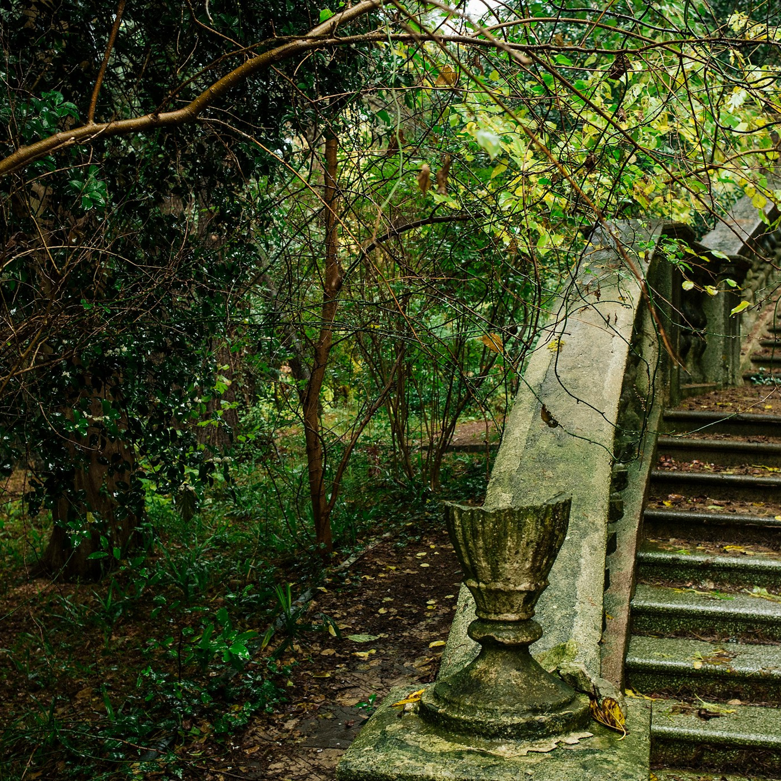 Школьная дружба. Репортажный фотограф в Сочи — Михаил Мордасов