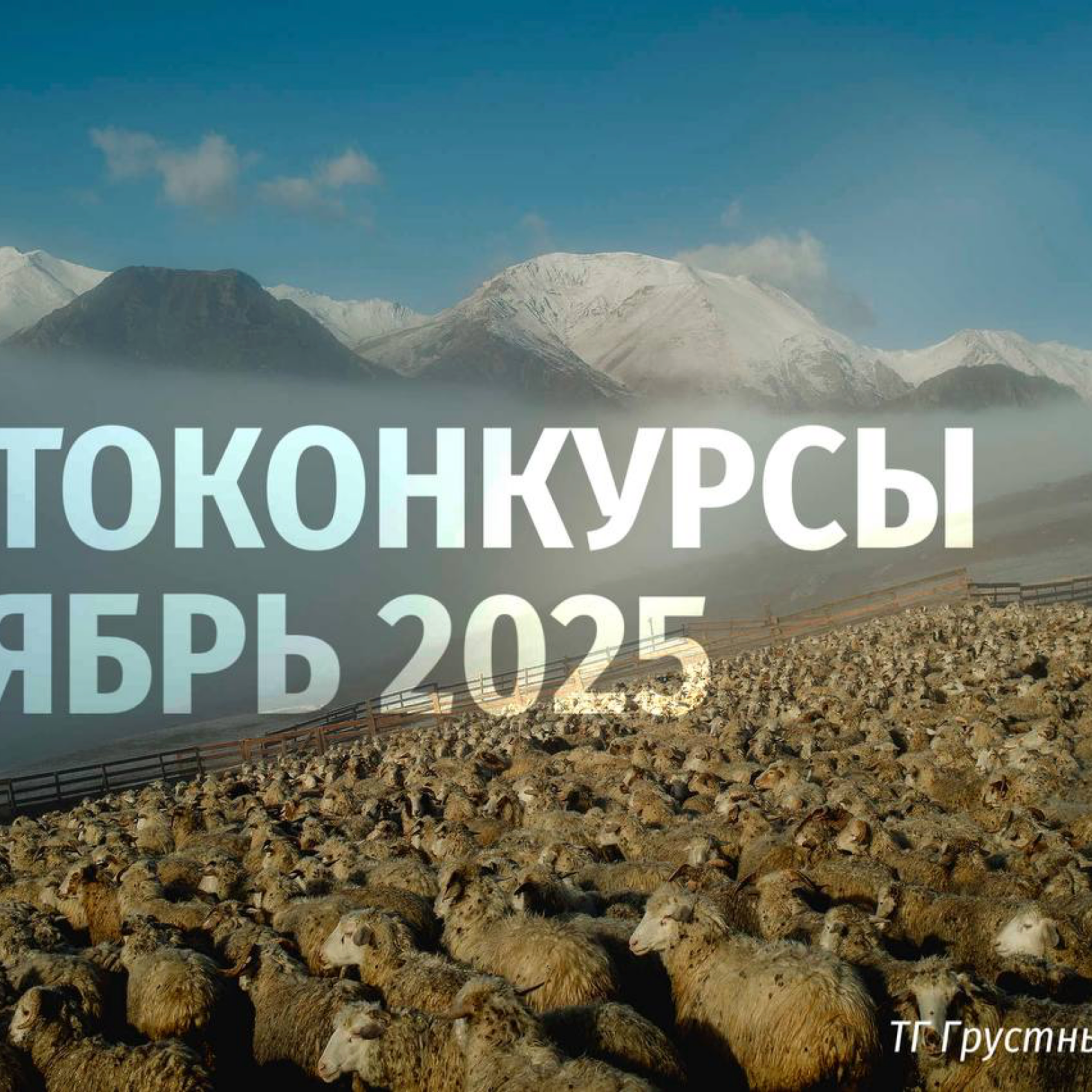 Аддис Абеба. Самый высокогорный город Африки. Репортажный фотограф в Сочи — Михаил Мордасов