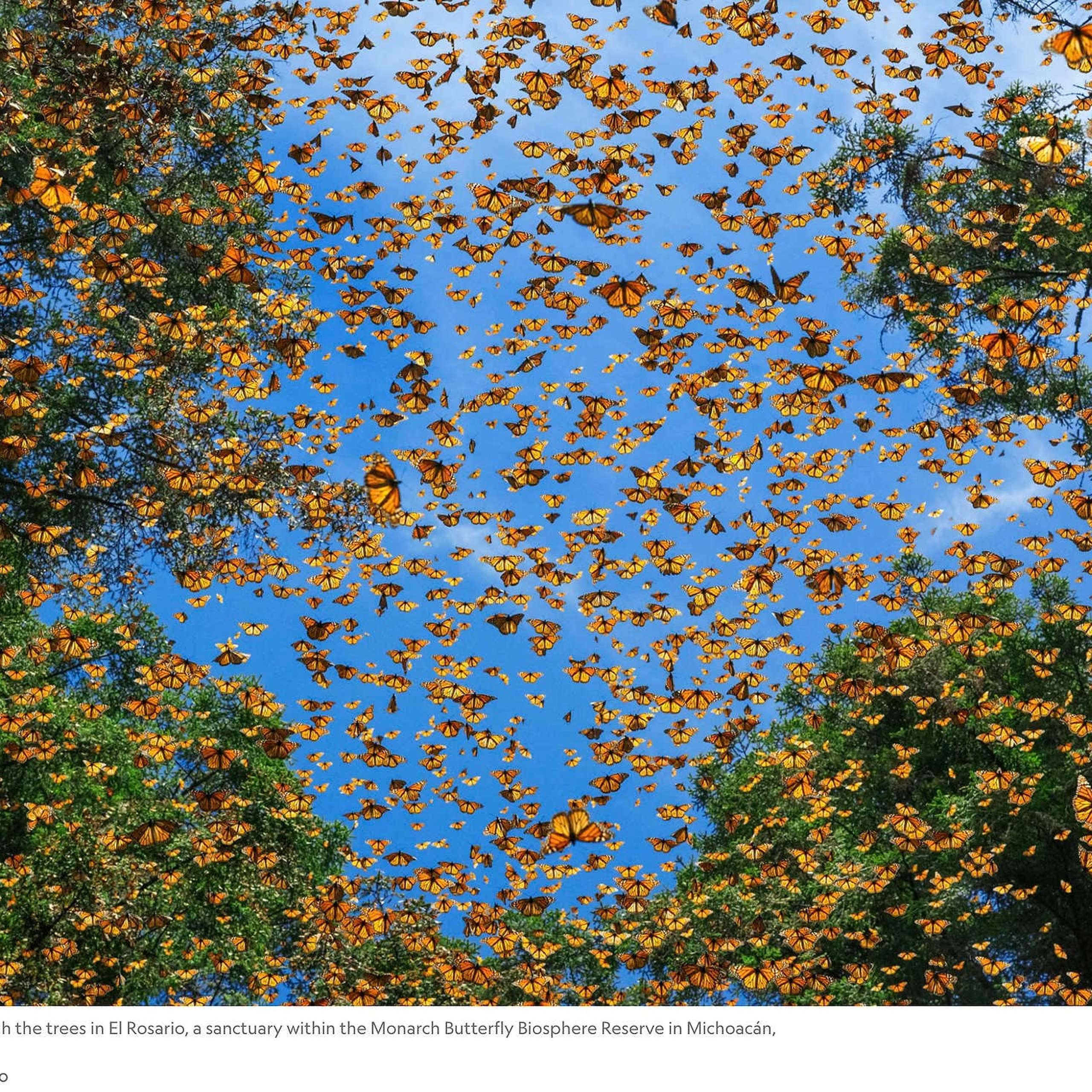 Мальчик под волной. Репортажный фотограф в Сочи — Михаил Мордасов