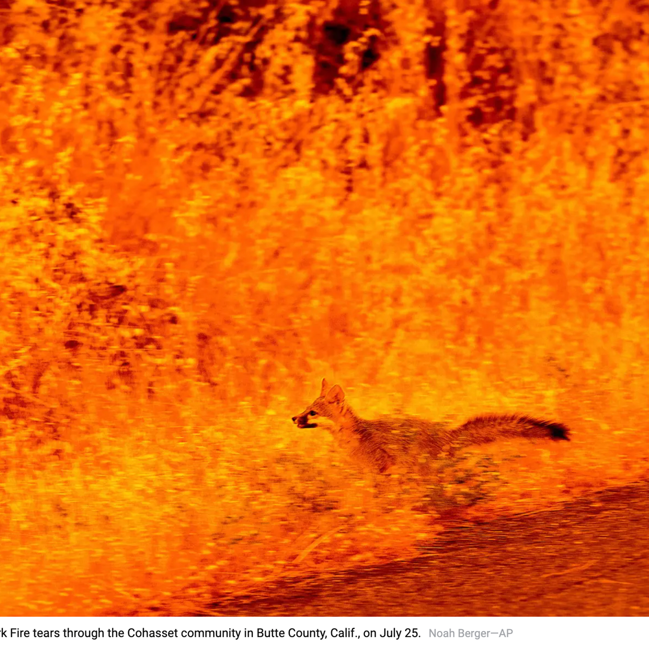 Мальчик под волной. Репортажный фотограф в Сочи — Михаил Мордасов