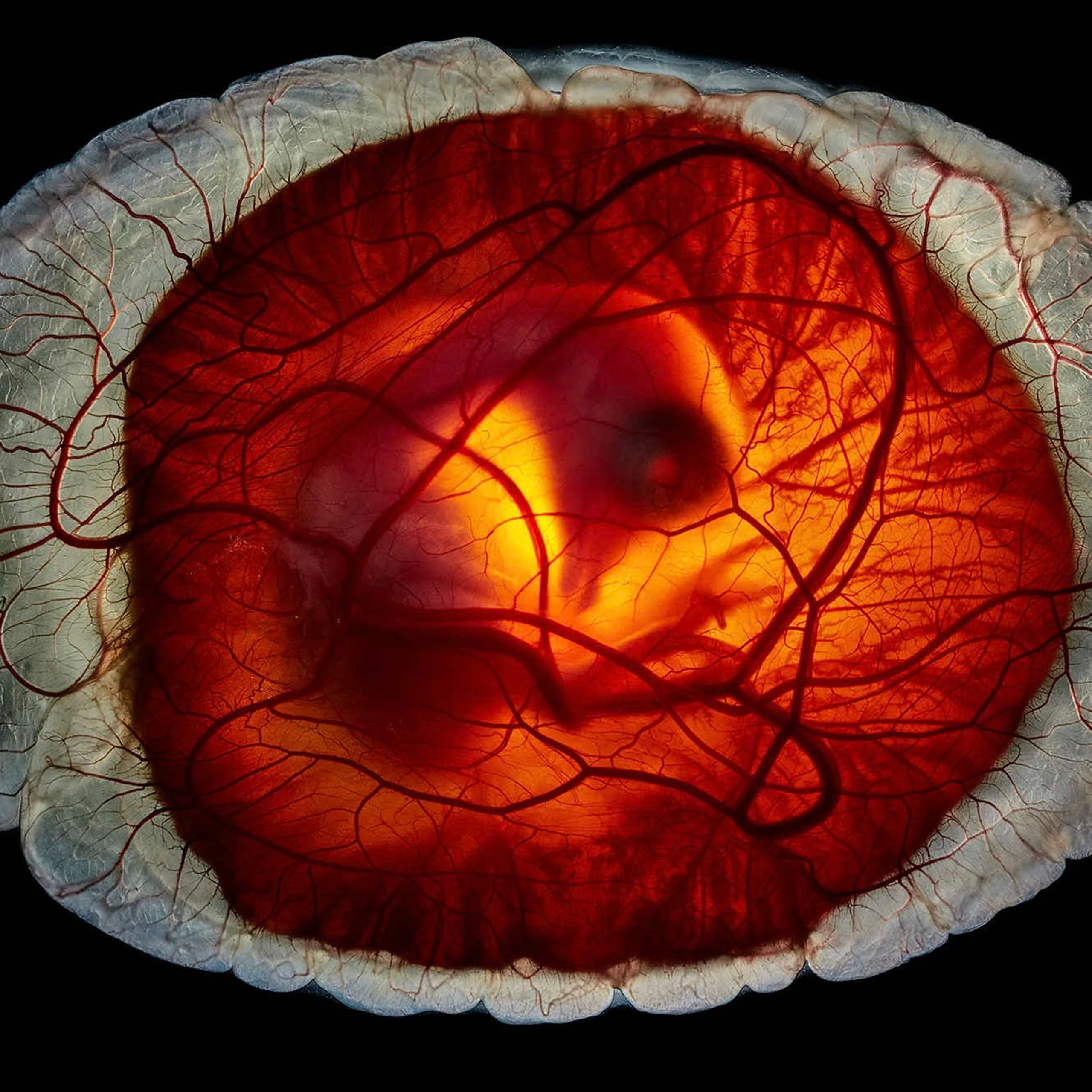 На днях вышел фильм, снятый по мотивам фотопроекта. Репортажный фотограф в Сочи — Михаил Мордасов