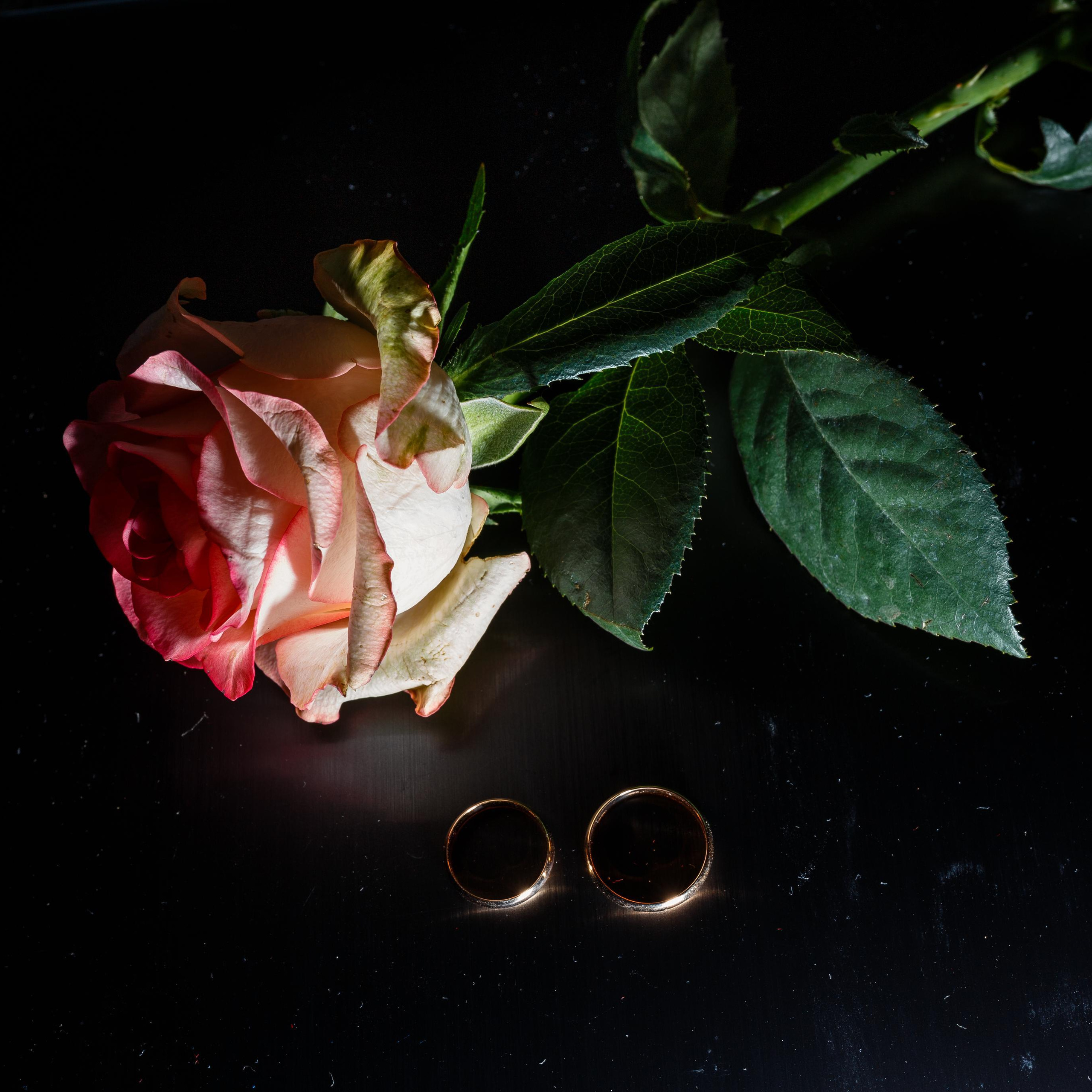 Отзывы. Фотограф Минск Татьяна Ильич