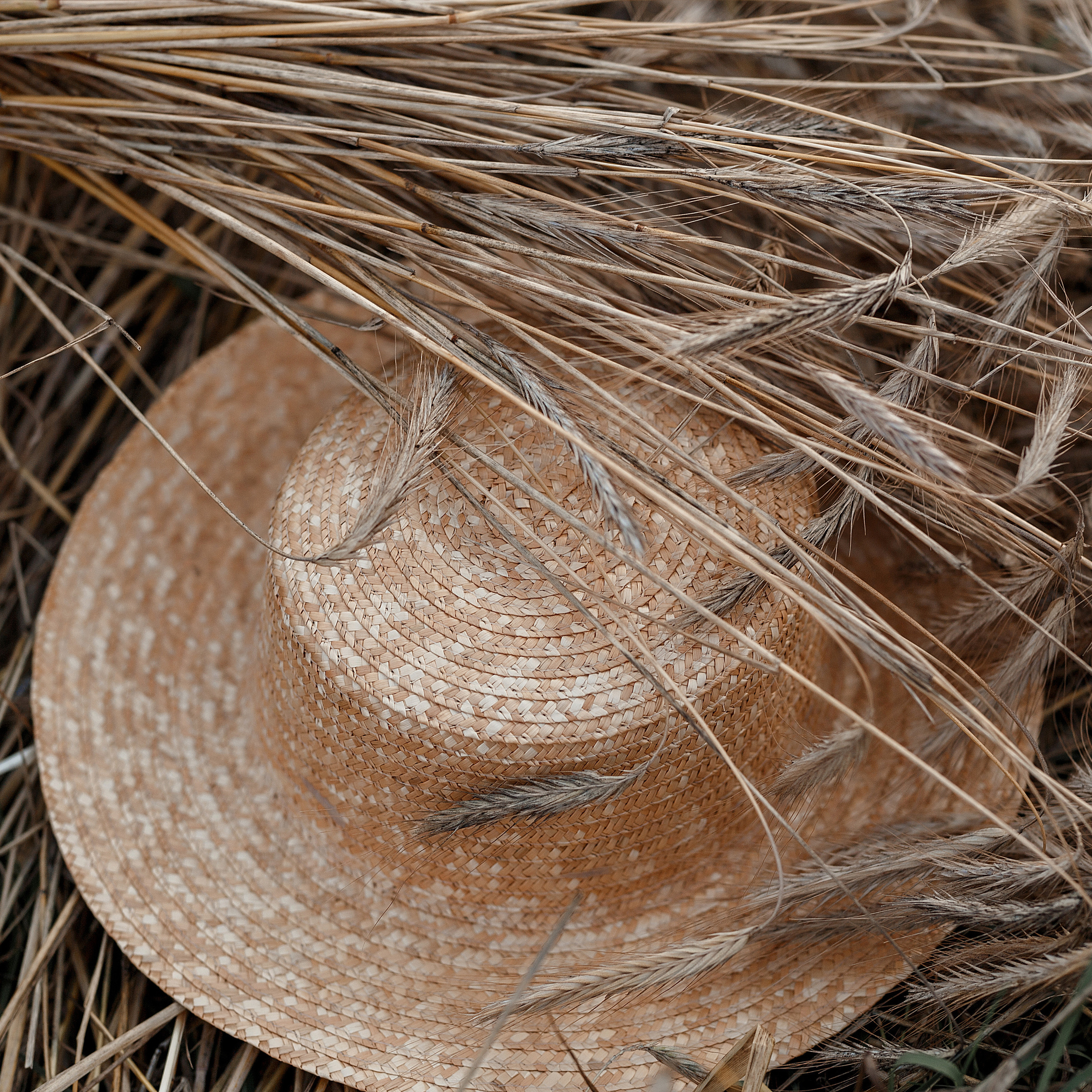 Отзывы. Фотограф Минск Татьяна Ильич