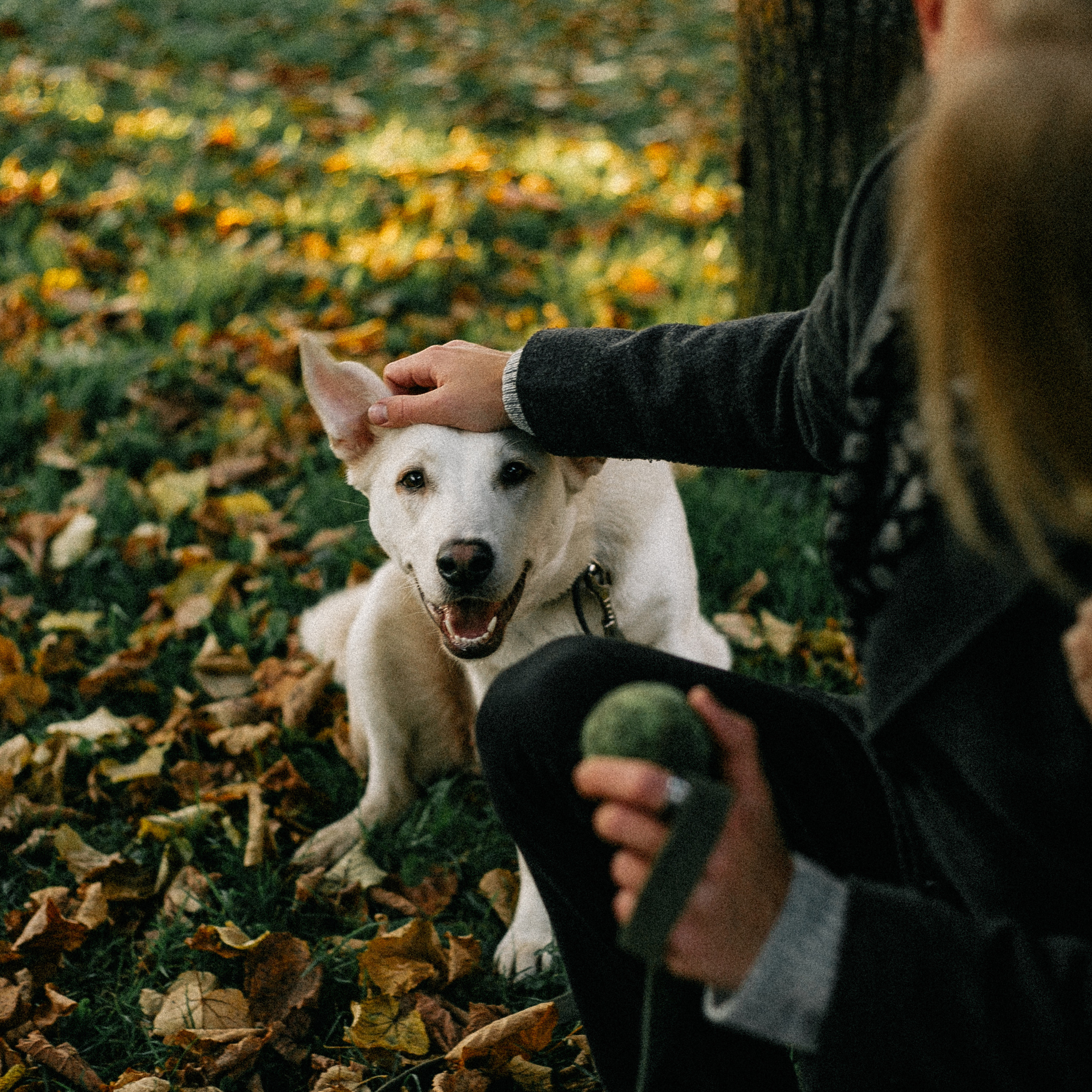 Ранняя прогулка
