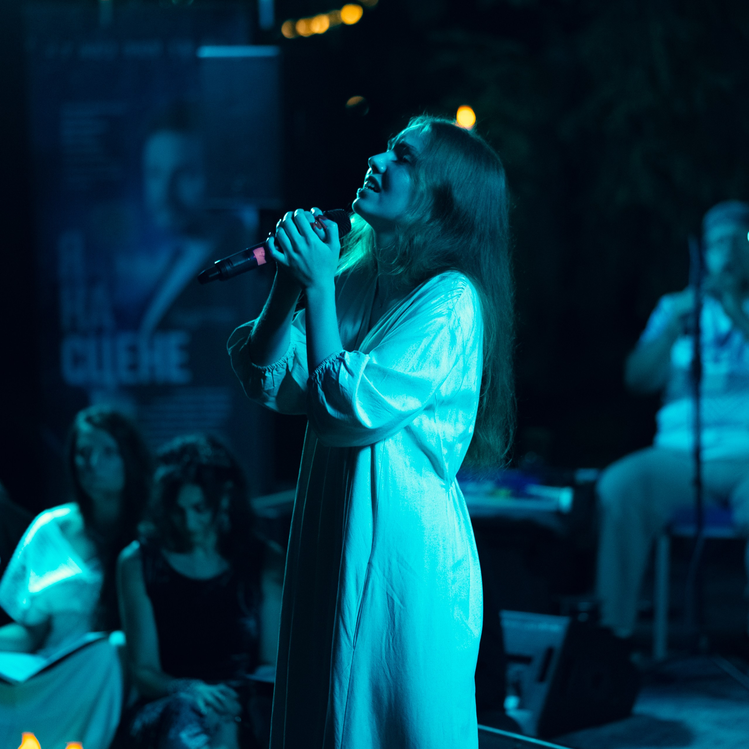 Фестиваль музыки Signon Open Air Fest