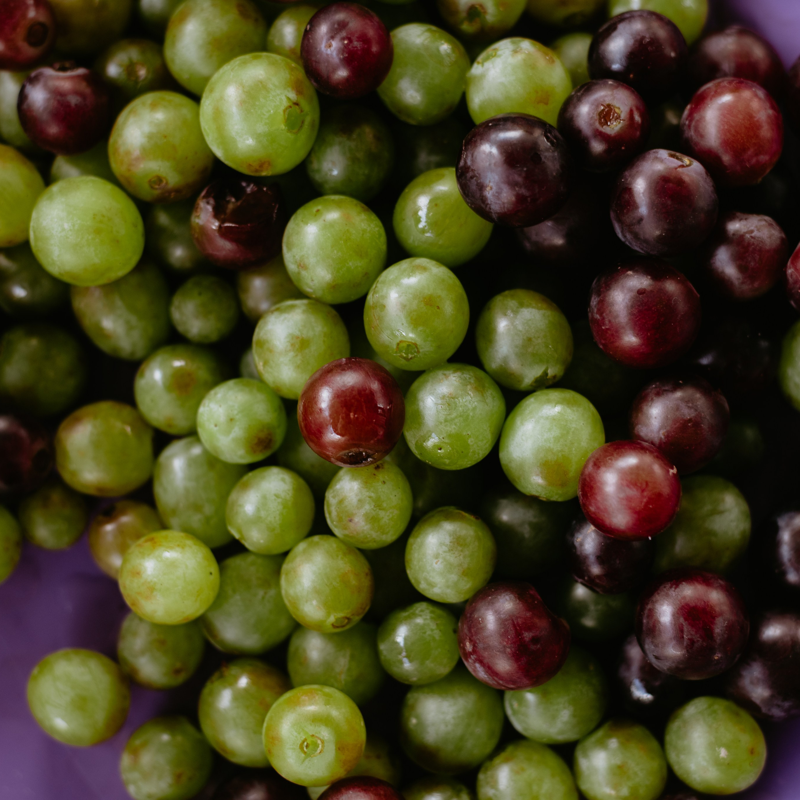 Репортаж со&nbsp;дня рождения на&nbsp;природе